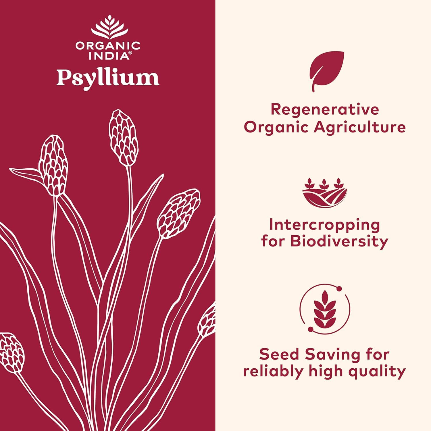 ORGANIC INDIA Psyllium Herbal Powder - Whole Husk Fiber, Vegan, Gluten-Free, USDA Certified Organic, Non-GM ORGANIC INDIA buy supplements canada