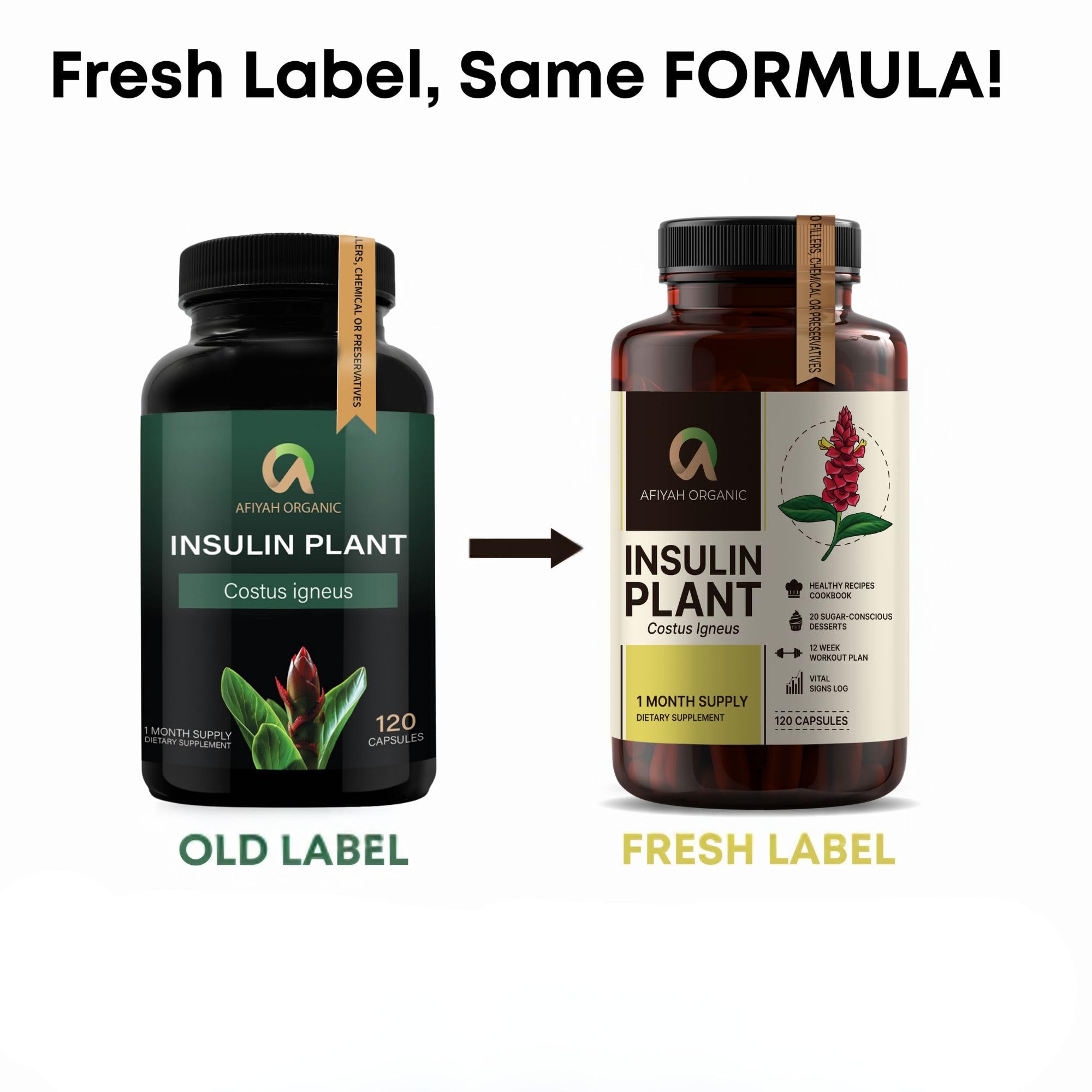 Afiyah Organic - Premium Quality Costus Igneus (Insulin Plant) Capsules - Easy to Swallow 120 Veggie Capsules (1 Month Supply) - Made in the USA - Including Complete Health Support Program Afiyah Organic buy supplements canada