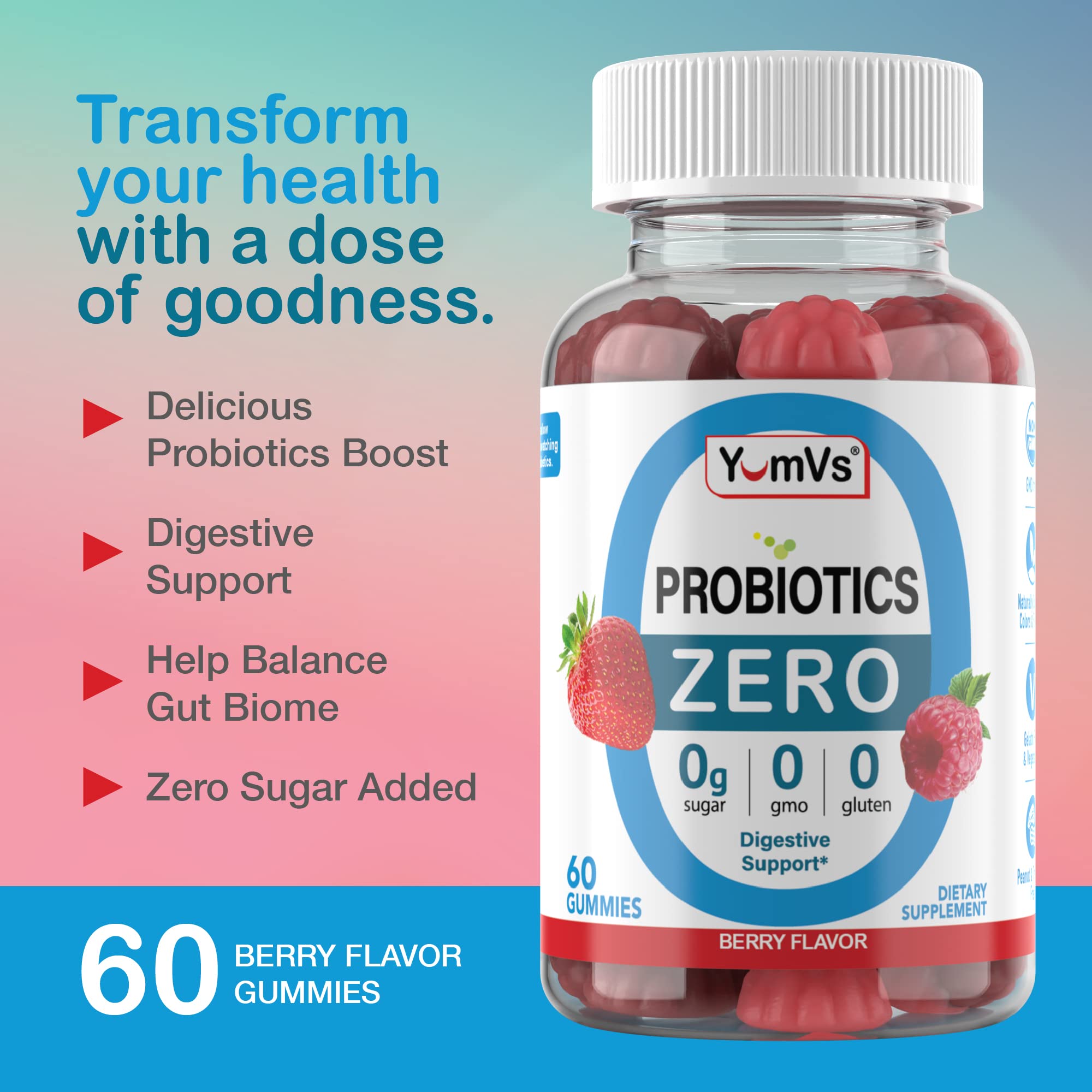 YUM-V'S Sugar Free Probiotic Gummies - Probiotics for Men & Women to Help Support Digestive Function – Adults & Kids Probiotic with 5 Billion CFU Bacillus Coagulans – Vegan & Gluten-Free (60 Count) YUM-V'S buy supplements canada