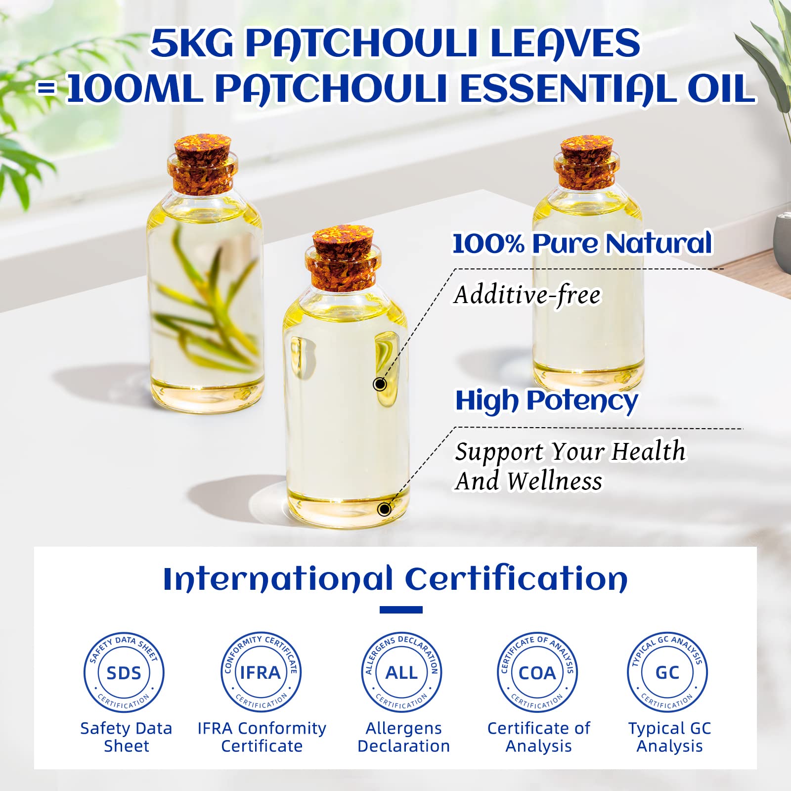 HIQILI Patchouli Essential Oil 100ML, Pure Natural, for Perfume Making, Diffuser and Skin HIQILI buy supplements canada