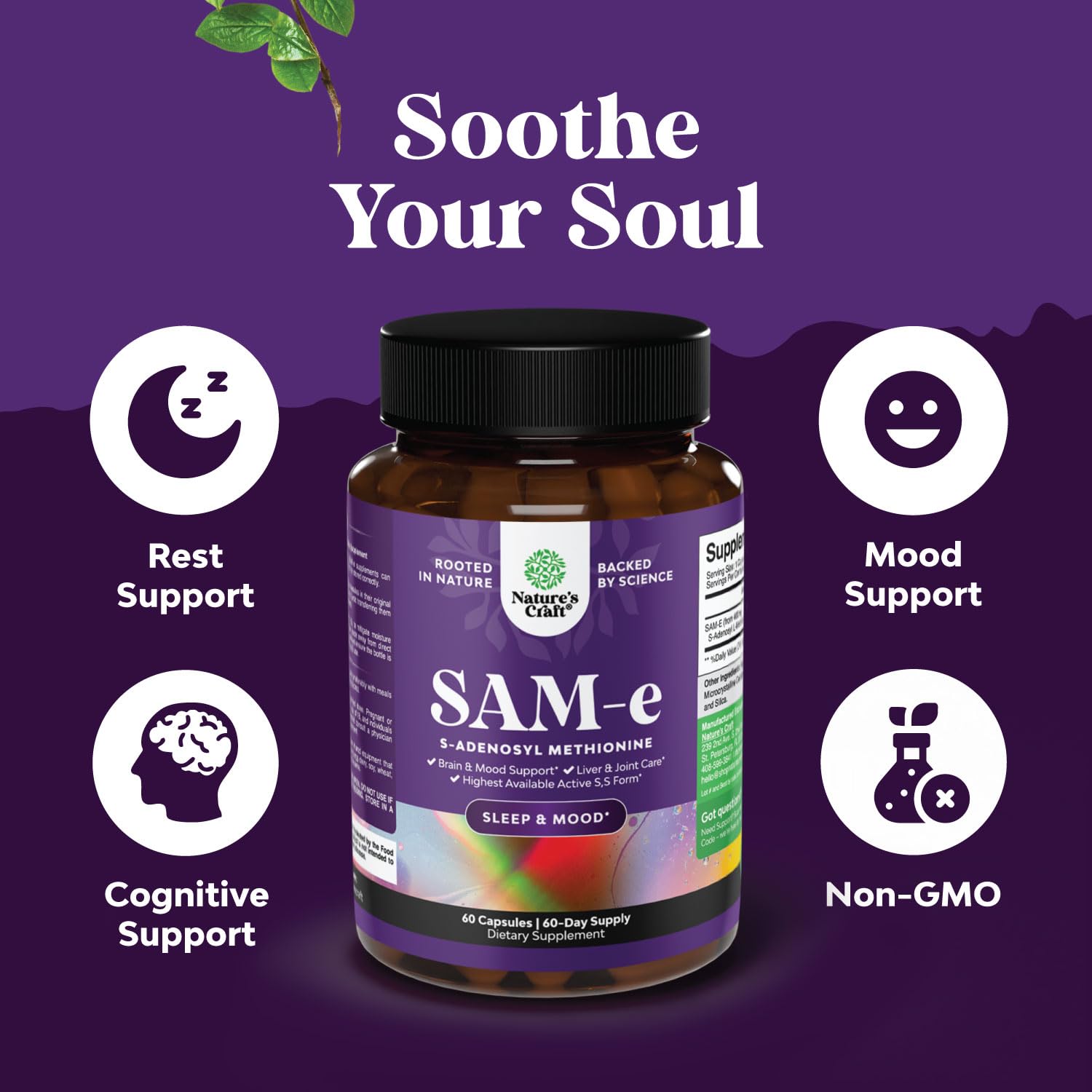 Sam-E 200mg Mood Support Supplement - S-Adenosyl Methionine Sam-E Supplement for Natural Relaxing Mood Boost Brain Support and Liver Detox Cleanse - Vegan Non-GMO and Gluten Free - 60 Count Natures Craft buy supplements canada