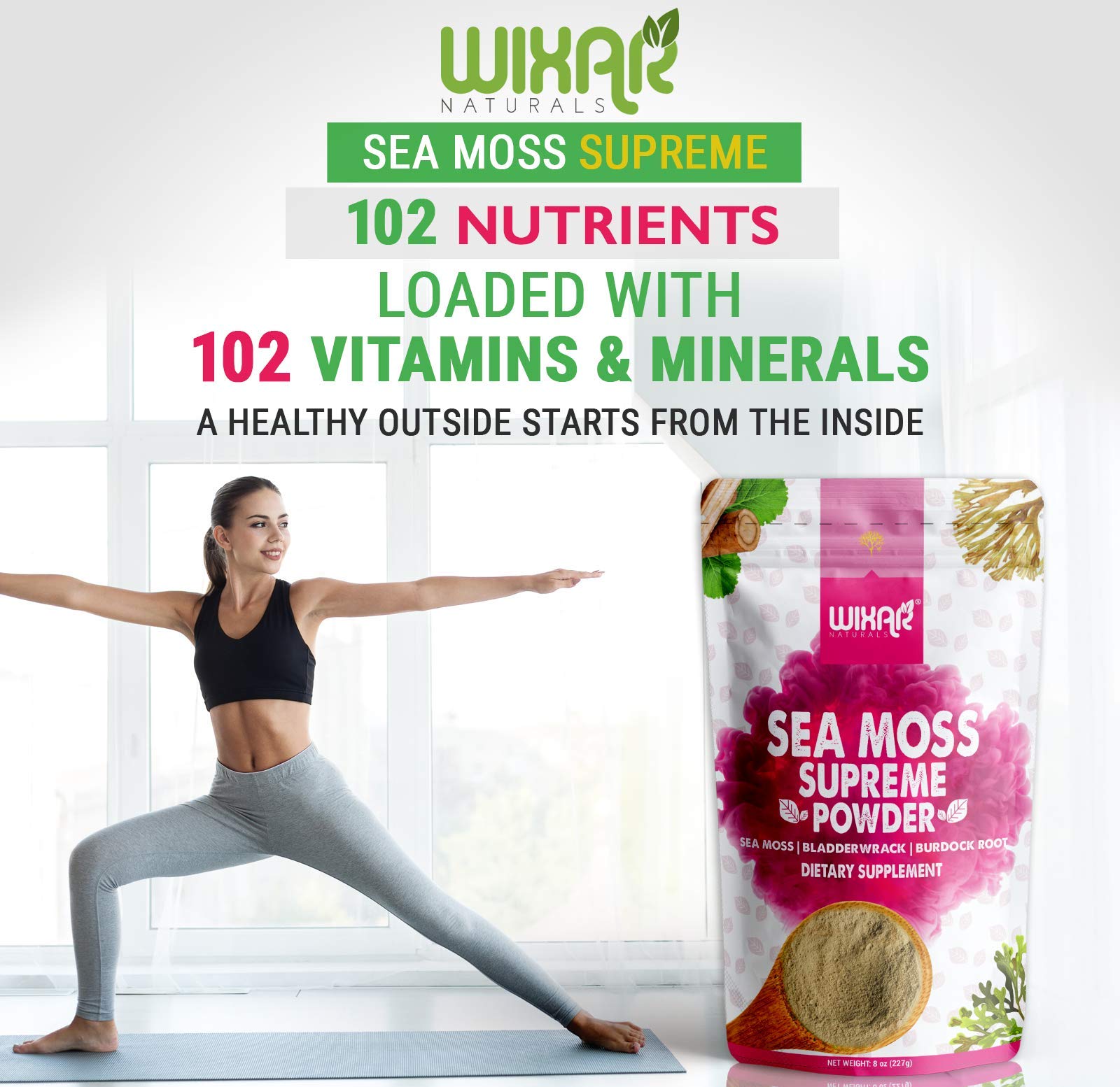 Wixar Wildcrafted Sea Moss Powder – (8 Ounces) – Natural Irish Sea Moss and Bladderwra WIXAR NATURALS buy supplements canada