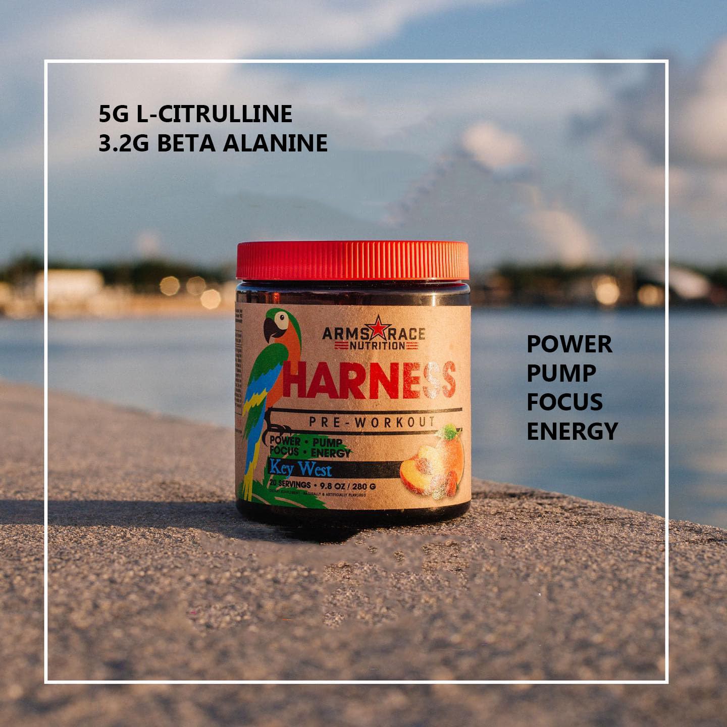 Arms Race Nutrition Harness Pre-Workout, 20 Servings (Big Sky) Arms Race Nutrition buy supplements canada
