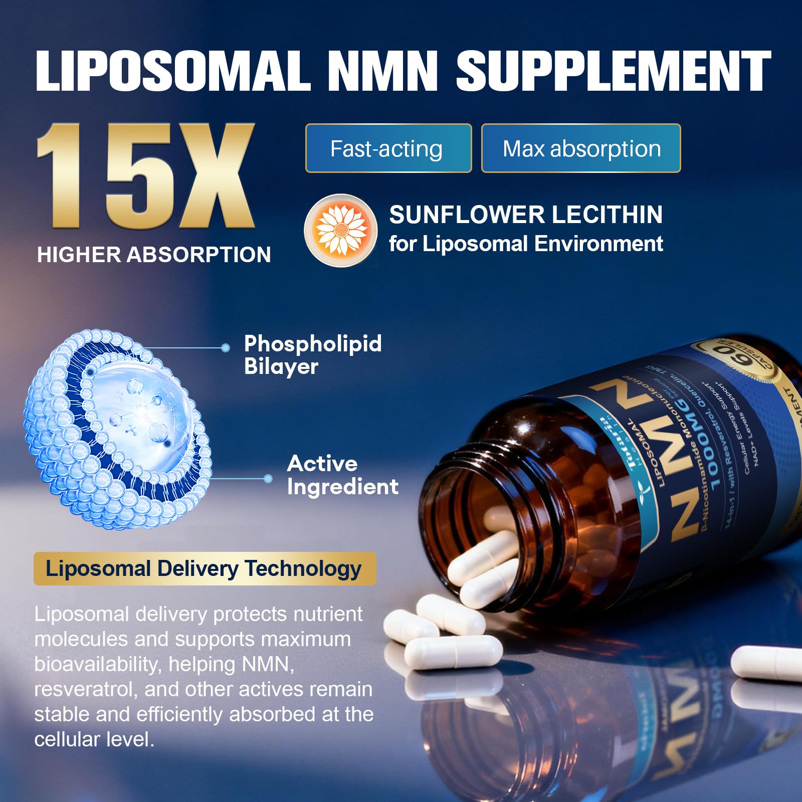 Totaria Liposomal NMN Supplement 1000mg, 14-in-1 NMN Resveratrol Complex with CoQ10, TMG, Quercetin, ALA, PQQ, Support NAD Levels, Cellular Energy & Healthy Aging, 60 Capsules, cGMP, Filler Free Totaria buy supplements canada