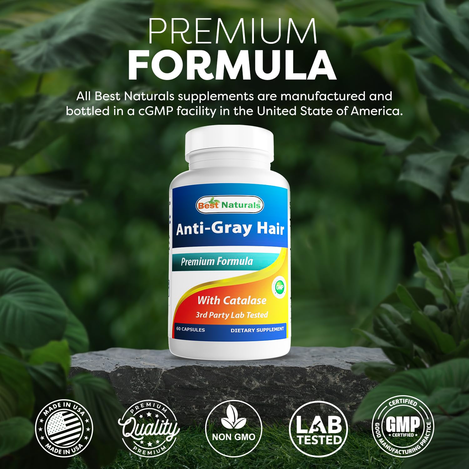 Best Naturals Anti Gray Hair Formula, 60 Count Best Naturals buy supplements canada