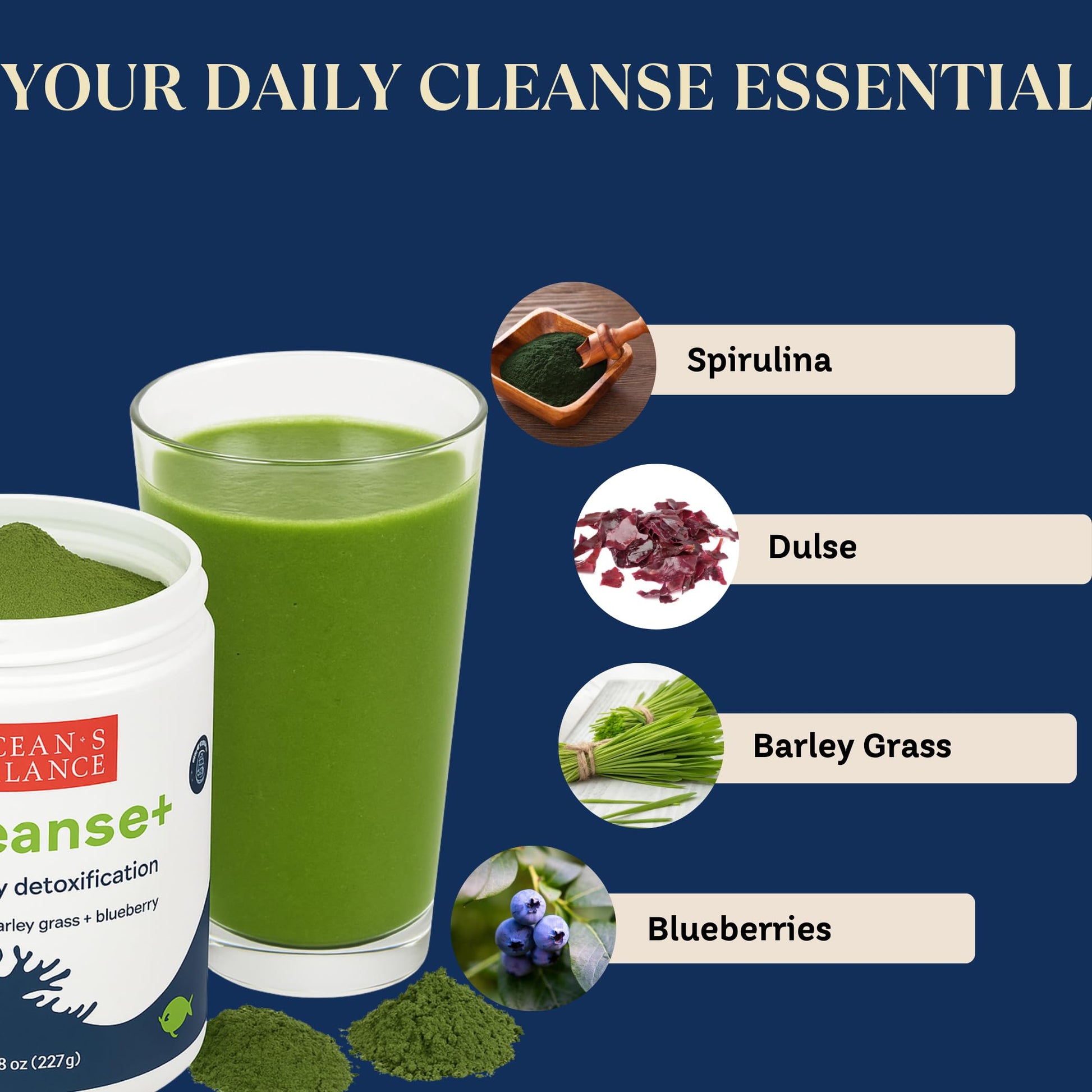 Ocean's Balance Seacleanse+ Daily Detox Cleanse Powder | Gut Health & Immune Support | Supports Gentle Cleanse & Vitality | 8oz Ocean's Balance Clean Taste of Maine buy supplements canada