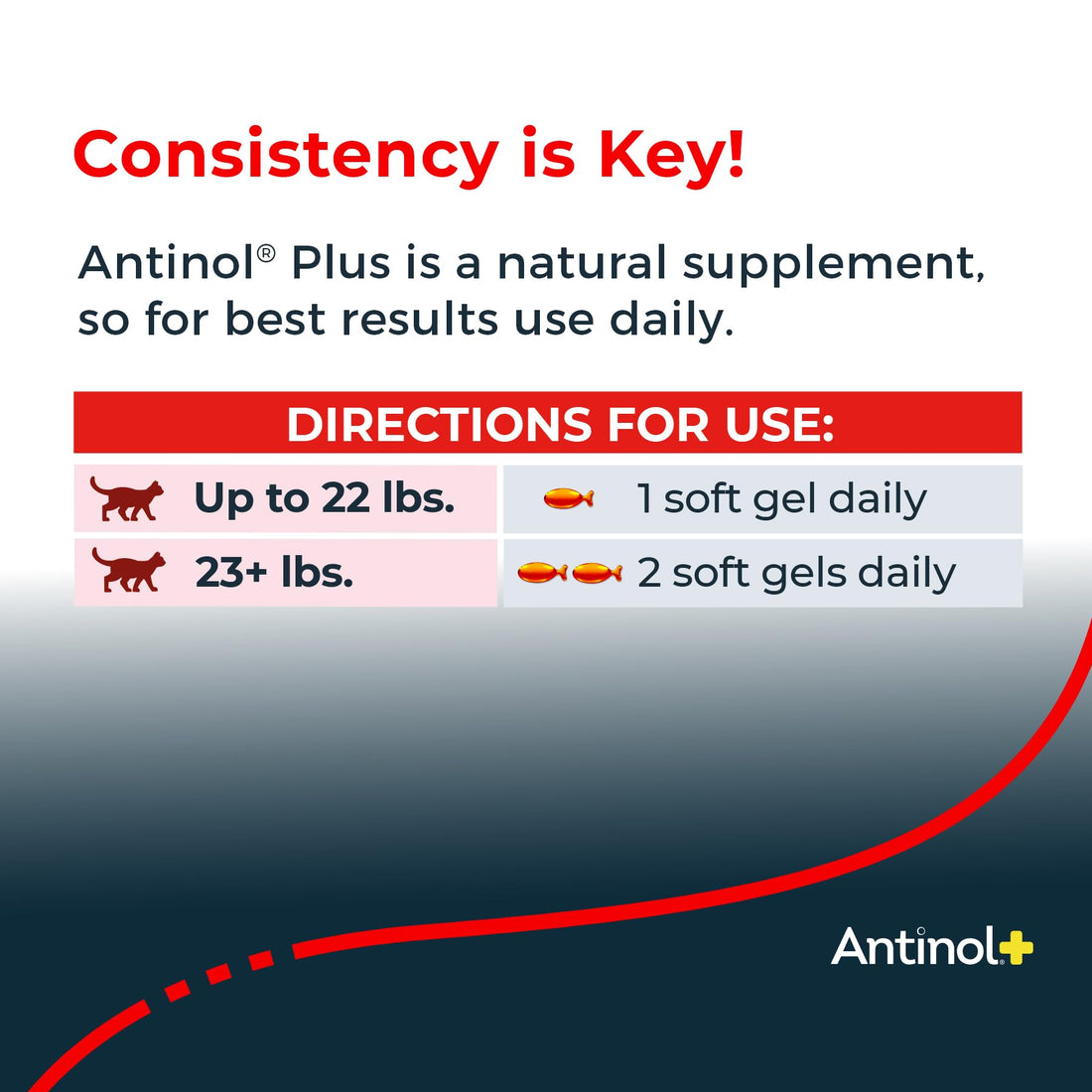 Antinol Plus, Mobility, Hip, and Joint Supplement for Cats, Green-Lipped Mussels and Krill Oil - Cat Joint Supplement, 60 Soft Gels Antinol buy supplements canada