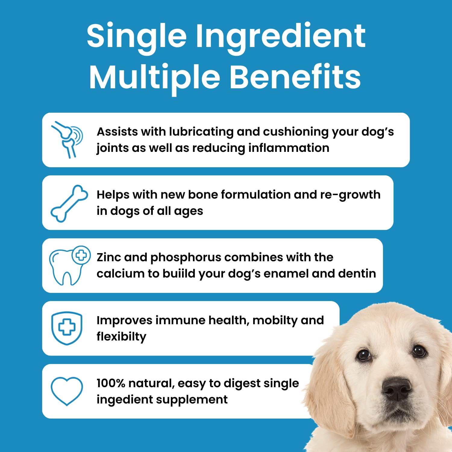 Hofseth BioCare Brilliant Bone & Joint Supplement for Dogs - High Strength Calcium & Collagen Powder for Joint & Hip Support, Essential Supplement for Dog’s of All Ages - 10.6 Oz Hofseth BioCare buy supplements canada