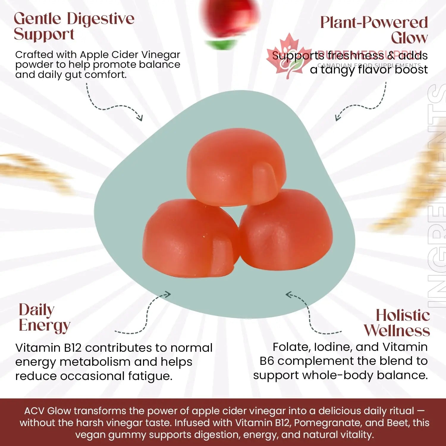 Everé ACV Glow Gummies – Apple Cider Vinegar with B12, B6, Iodine, Folate, Beetroot & Pomegranate – Daily Wellness Support for Energy & Balance The EverÉ Natural Alchemy buy supplements canada