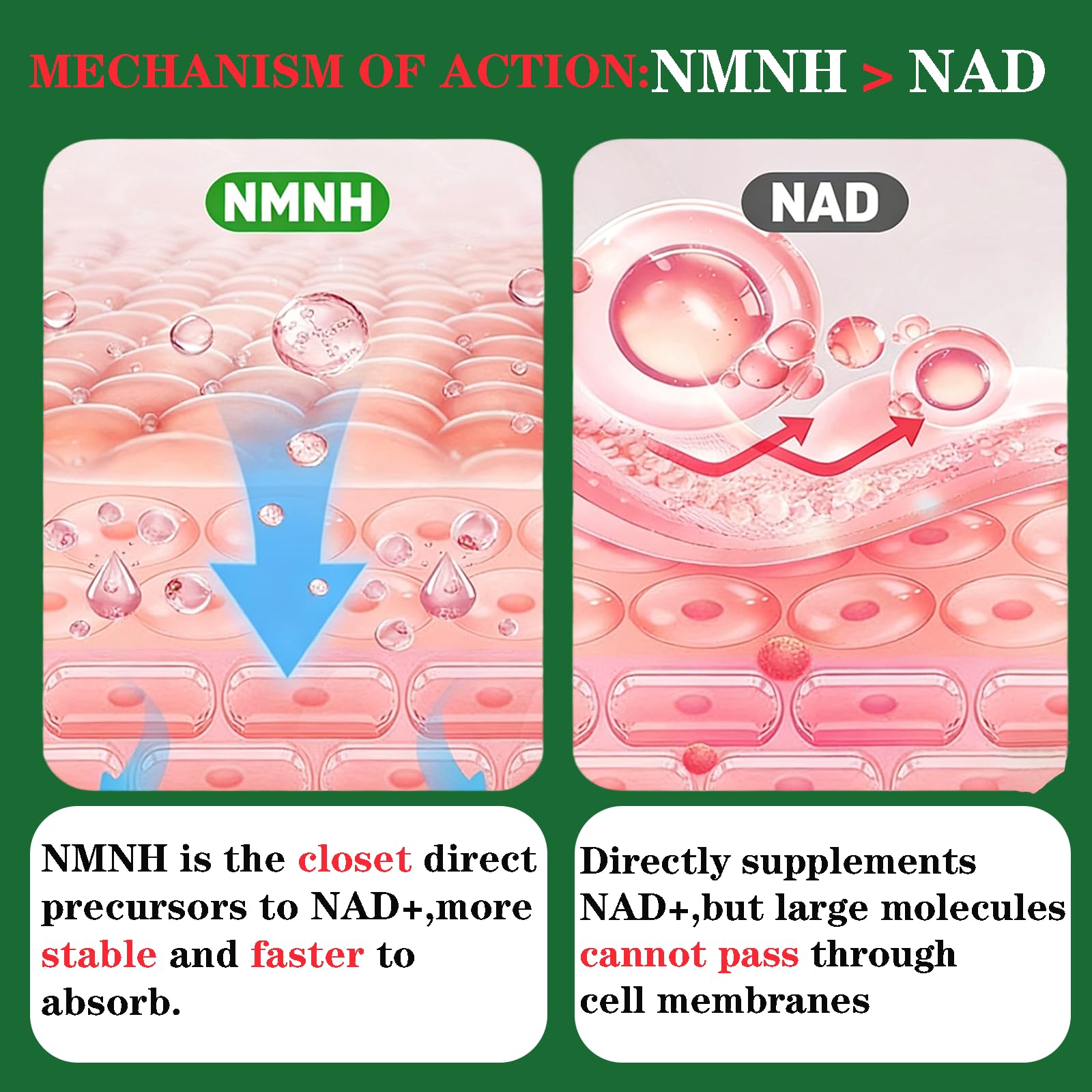 GHKALQ NMNH Supplement 1000mg,Liposomal Pure Nicotinamide Mononucleotide,Boost NAD Level with Resveratrol & Nicotinamide Riboside NR,High Absorption,for Cellular,Energy,Non-GMO,Vegan,120 Capsules GHKALQ buy supplements canada