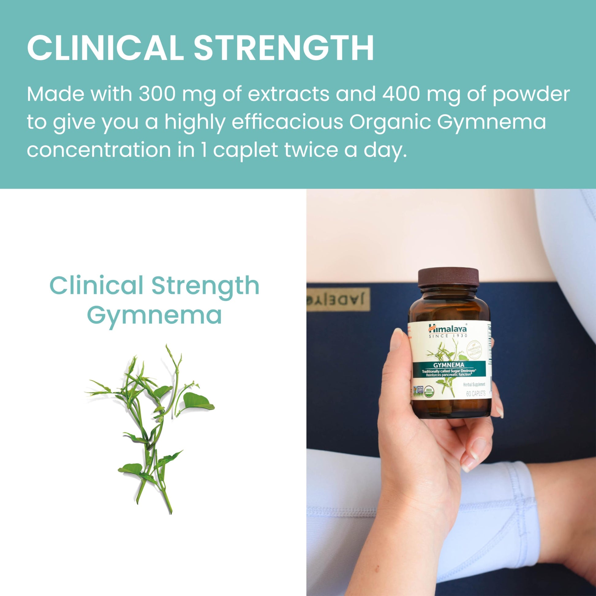 Himalaya Organic Gymnema Herbal Supplement for Weight Management, USDA Certified Himalaya buy supplements canada