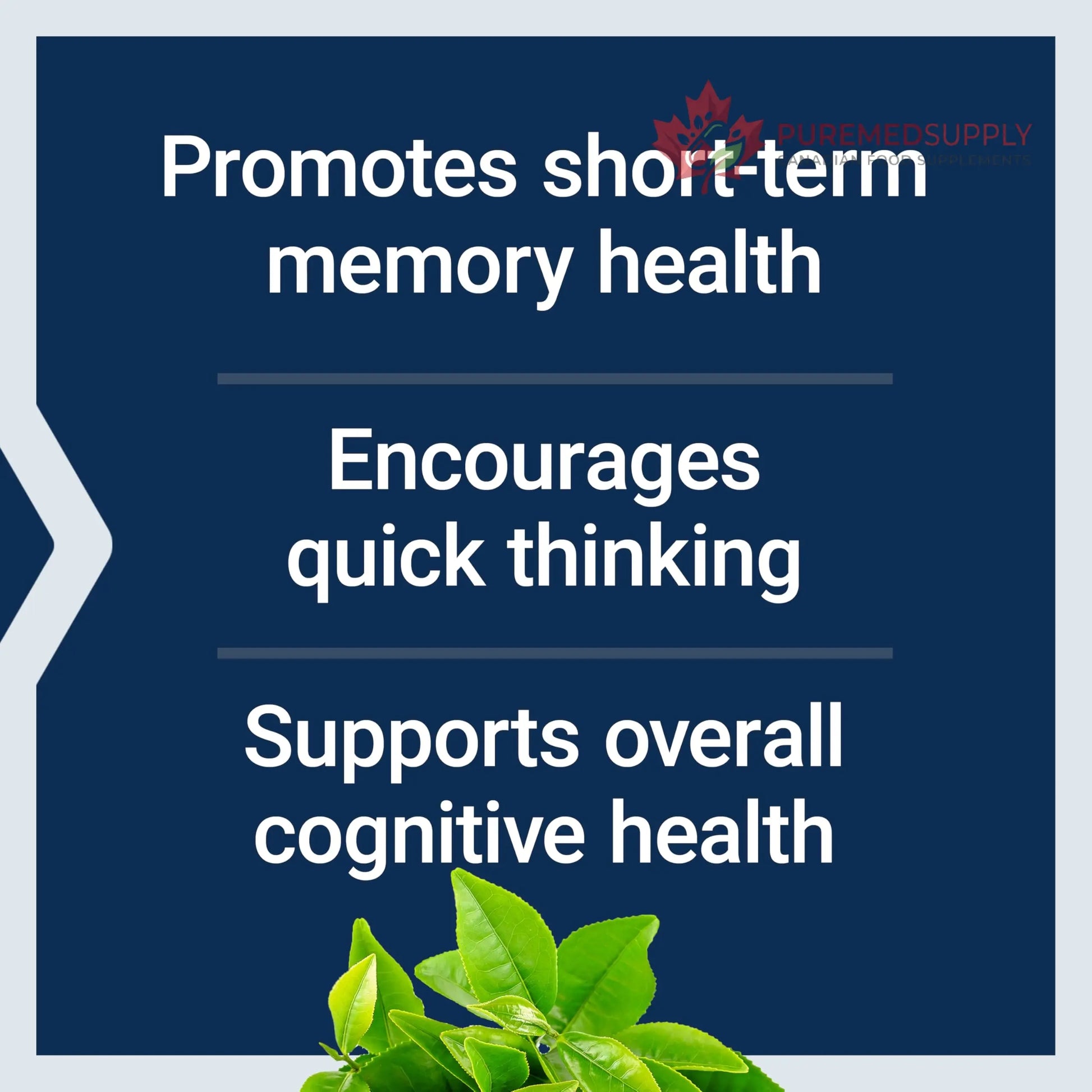 Life Extension Neuro-Mag Magnesium L-Threonate, Memory Health, Quick Thinking, Cognitive Health Support, Vegetarian, Non-GMO, 90 Vegetarian Capsules (144 mg from 2000 mg Magtein magnesium L-threonate Life Extension buy supplements canada