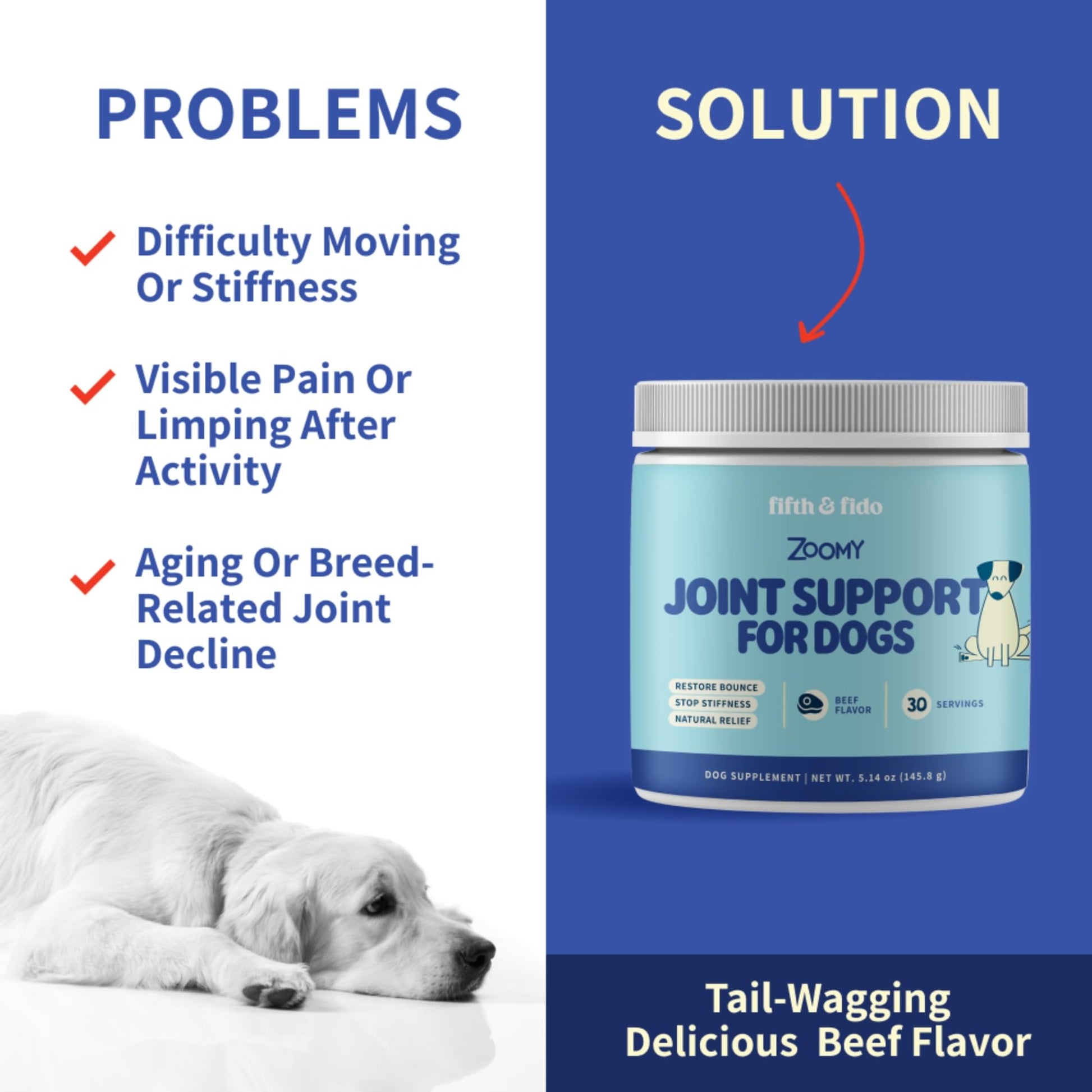 Fifth & Fido Joint Supplement for Dogs - Glucosamine for Dogs - Pet Vitamins and Supplements Powder with Chondroitin & MSM - Hip & Joint Support for Mobility, Stiffness & Flexibility - Mushroom Blend Fifth & Fido buy supplements canada