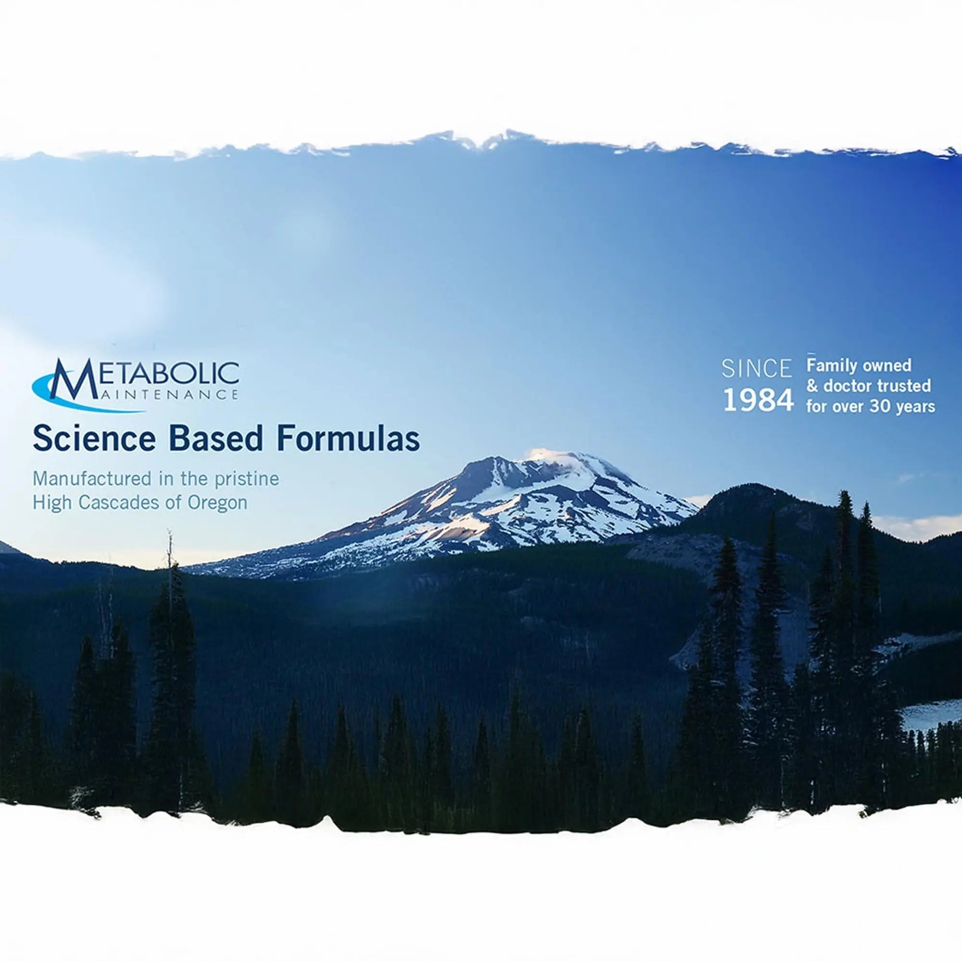 Metabolic Maintenance FemOne - Women's Multivitamin with Bioavailable Iron, Active Folate, B12, Antioxidants, Vitamin D + Biotin Metabolic Maintenance buy supplements canada