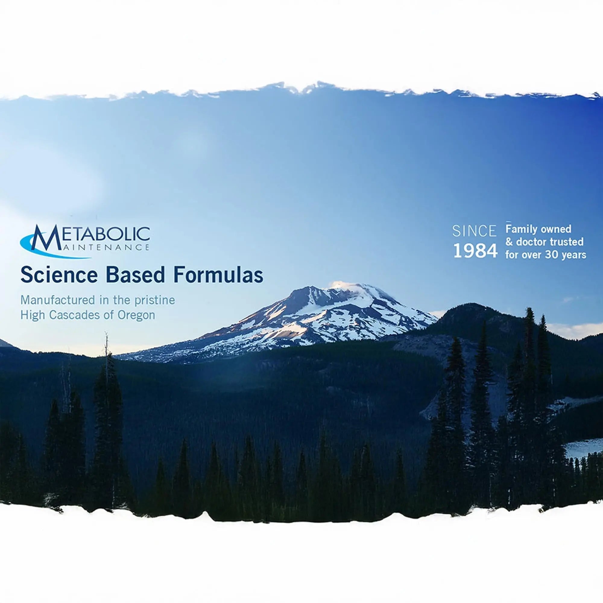 Metabolic Maintenance FemOne - Women's Multivitamin with Bioavailable Iron, Active Folate, B12, Antioxidants, Vitamin D + Biotin Metabolic Maintenance buy supplements canada