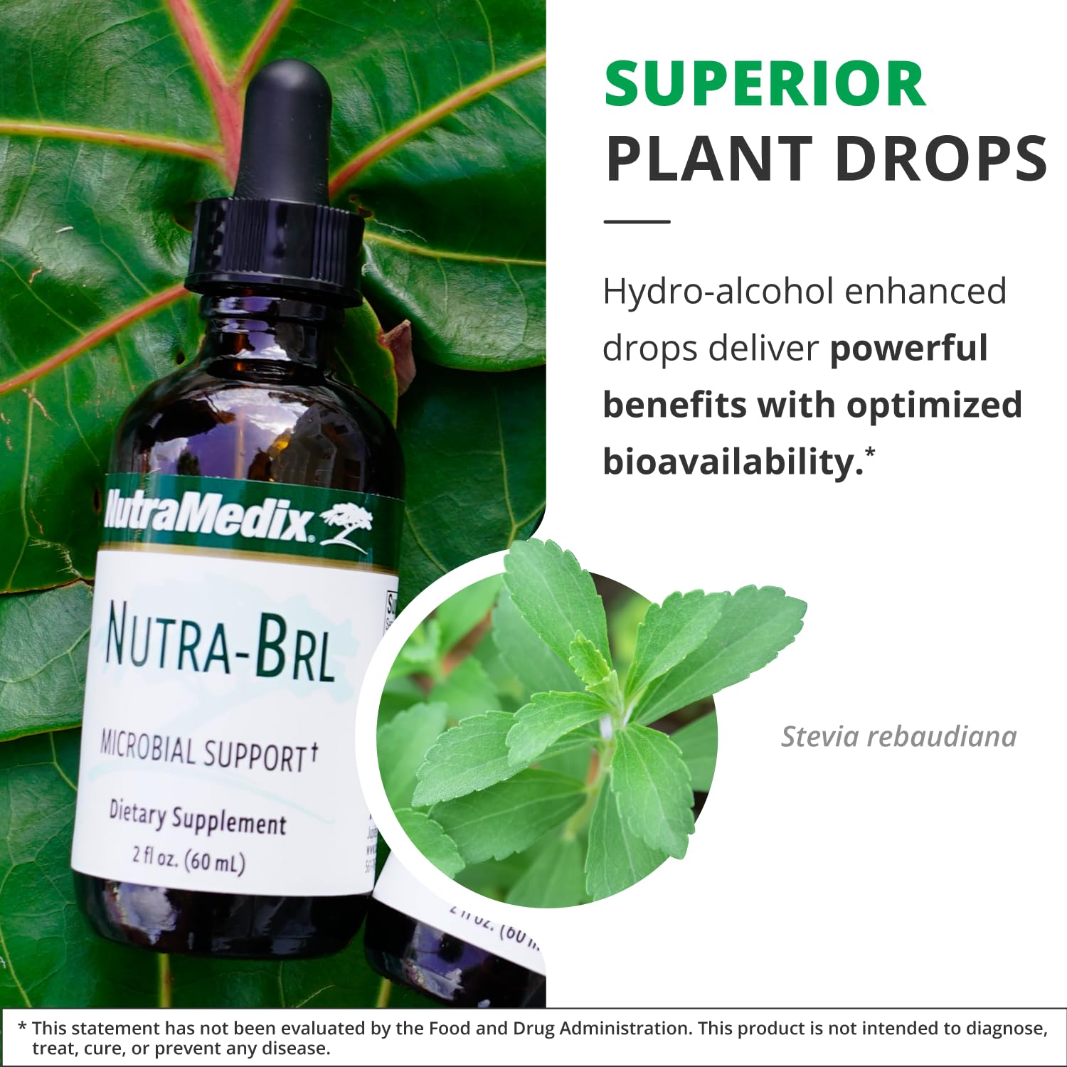 Nutramedix Nutra BRL - Liquid Herbal Supplement for Gut Health & Immune Support - Samento & Banderol for Digestive Health - Immune System Booster Supplement (60mL) NutraMedix buy supplements canada