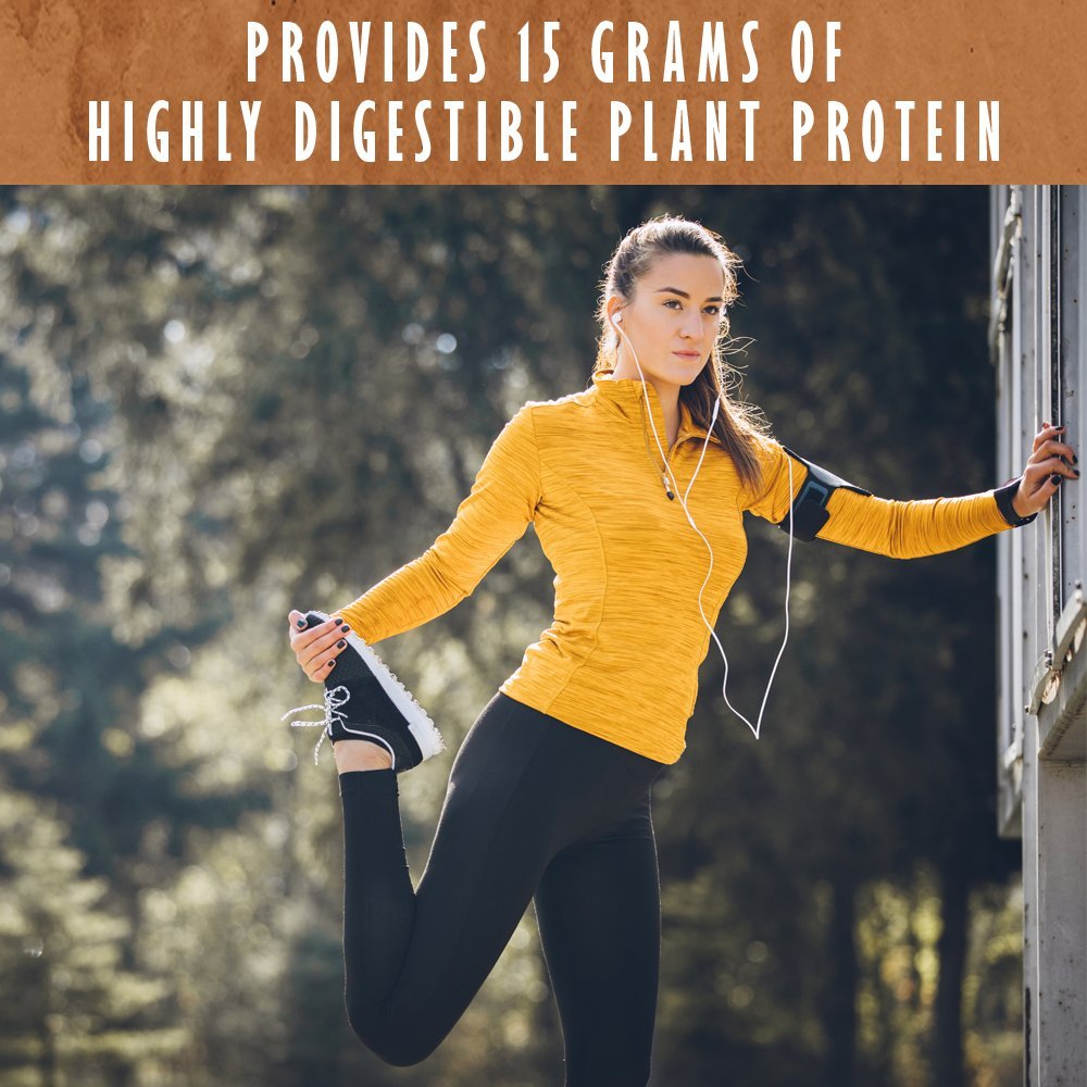 Garden of Life Organic Plant Protein Smooth Chocolate Powder, 10 Servings - Vegan, Grain Garden of Life buy supplements canada