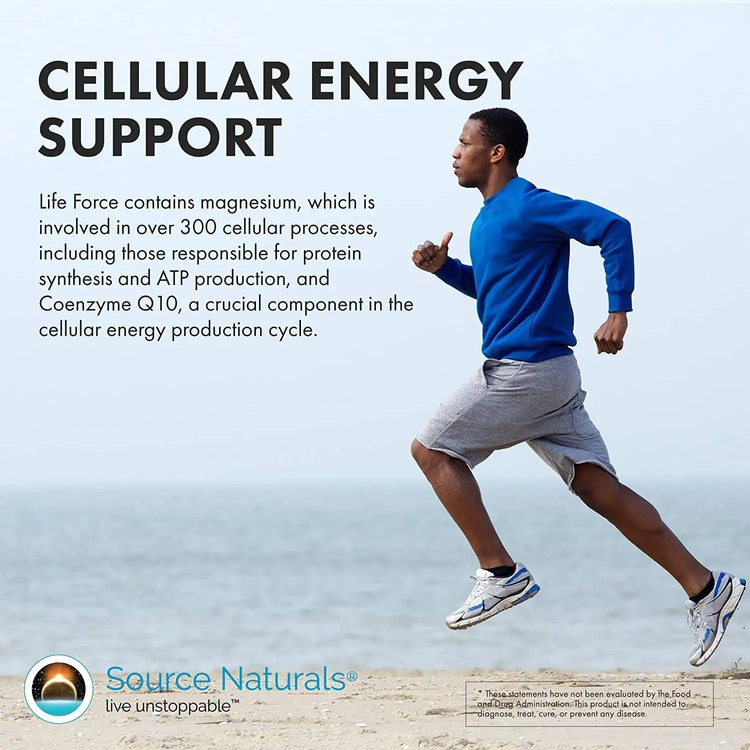 Source Naturals Men's Life Force Multiple Daily Multivitamin & Immune Health Supplement - 13 Essential Vitamins, Nutrients & Minerals - 180 Tablets Source Naturals buy supplements canada