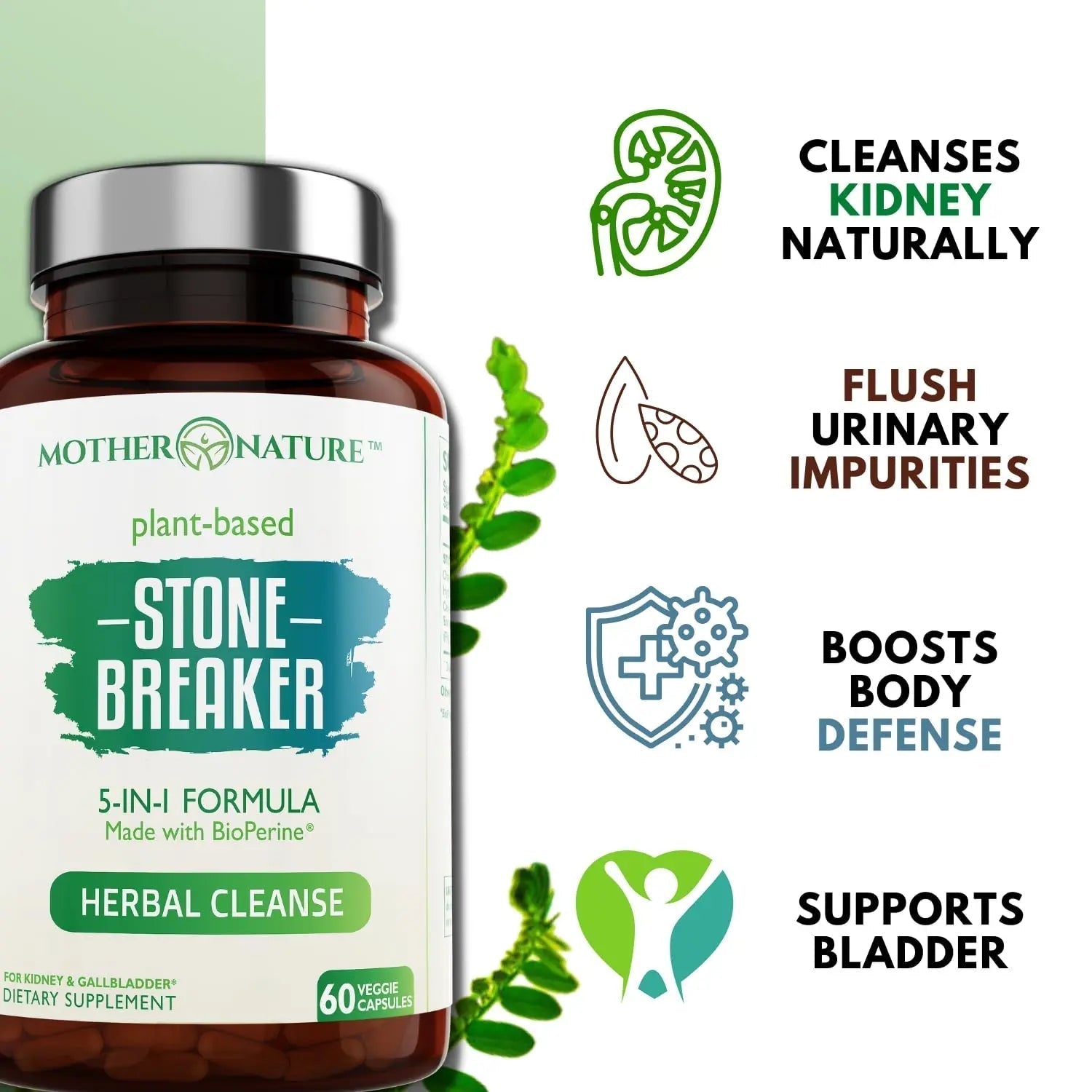 Stone Breaker Chanca Piedra Capsules, Dissolve Kidney & Gallbladder, Detoxify Urinary Tract, Flush Impurities, Kidney Support with Celery Seed Extract - 60 Veg Capsules Mother Nature Organics Superfoods for Organic Living buy supplements canada