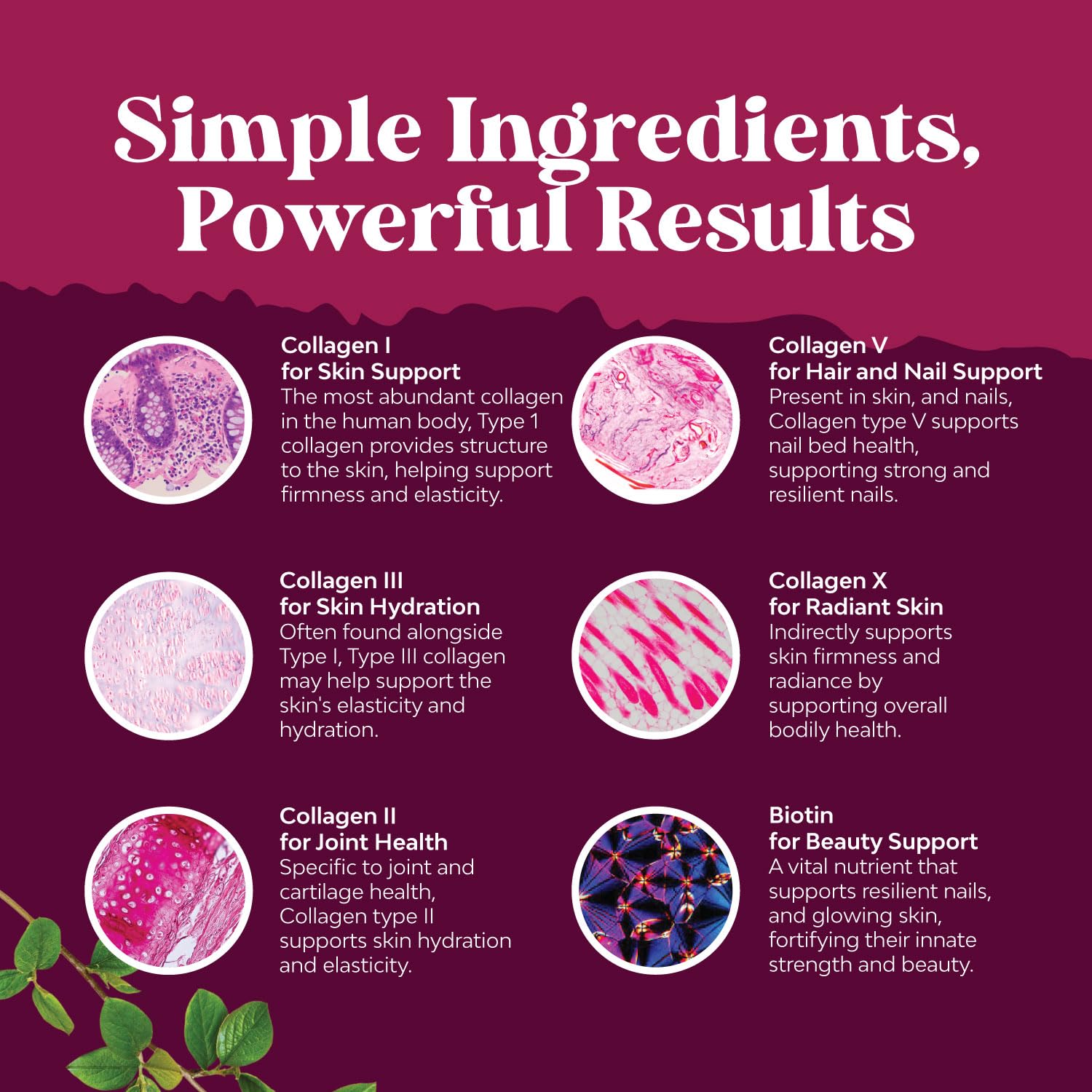 Advanced Multi Collagen Complex - Ageless Multi Collagen Peptides Supplements with Type 1 2 3 5 & X & Biotin for Hair, Skin and Nails Vitamins - Biotin Supplements for Women & Men - 90 Count Natures Craft buy supplements canada
