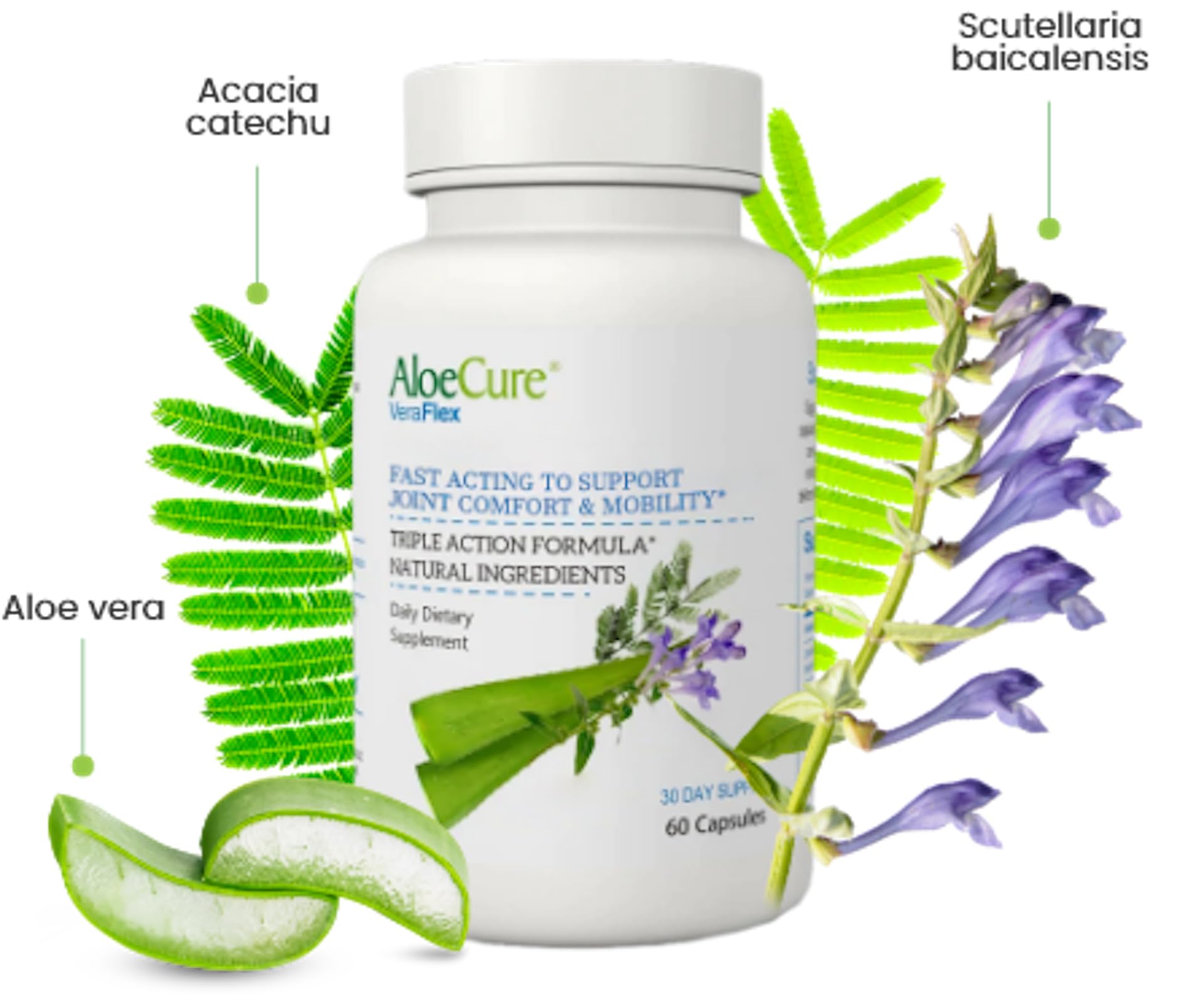AloeCure VeraFlex Natural Joint Support Supplement with USDA Organic Aloe Vera AloeCure buy supplements canada
