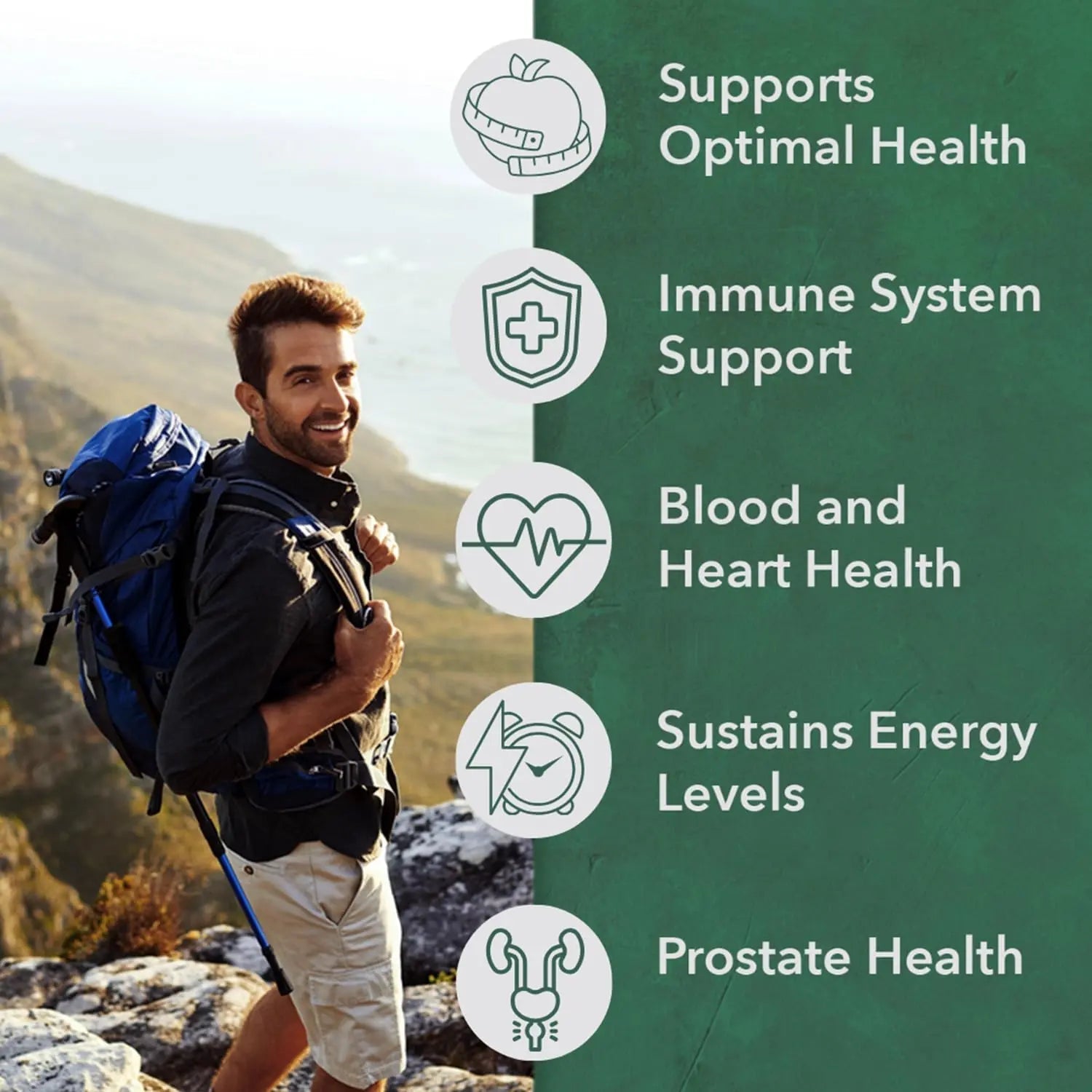 PlantFusion Organic Multivitamin for Men - One Daily Whole Food Blend Men's Multivitamin - Vegan, Non-GMO PlantFusion buy supplements canada