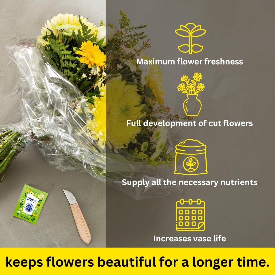 Chrysal Clear Flower Food Packets – Single Packet – Flower Arrangements & Bouquets – Floral Supplies Chrysal buy supplements canada