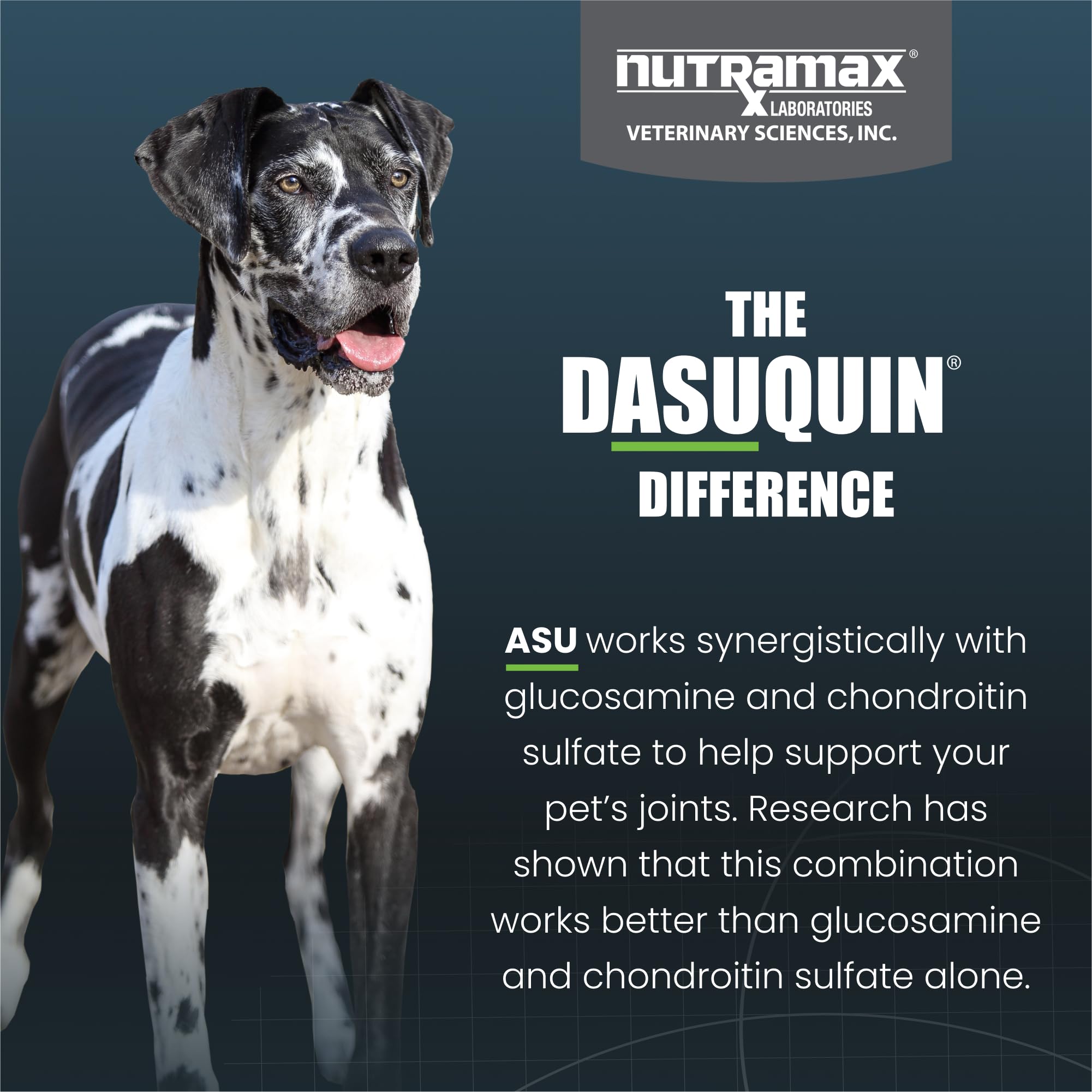 Nutramax Dasuquin for Large Dogs, Joint Health Supplement, Contains Glucosamine for Dogs, Plus Chondroitin, ASU and More, Supports Healthy Joints, Soft Chews, 84 Count Nutramax Laboratories buy supplements canada