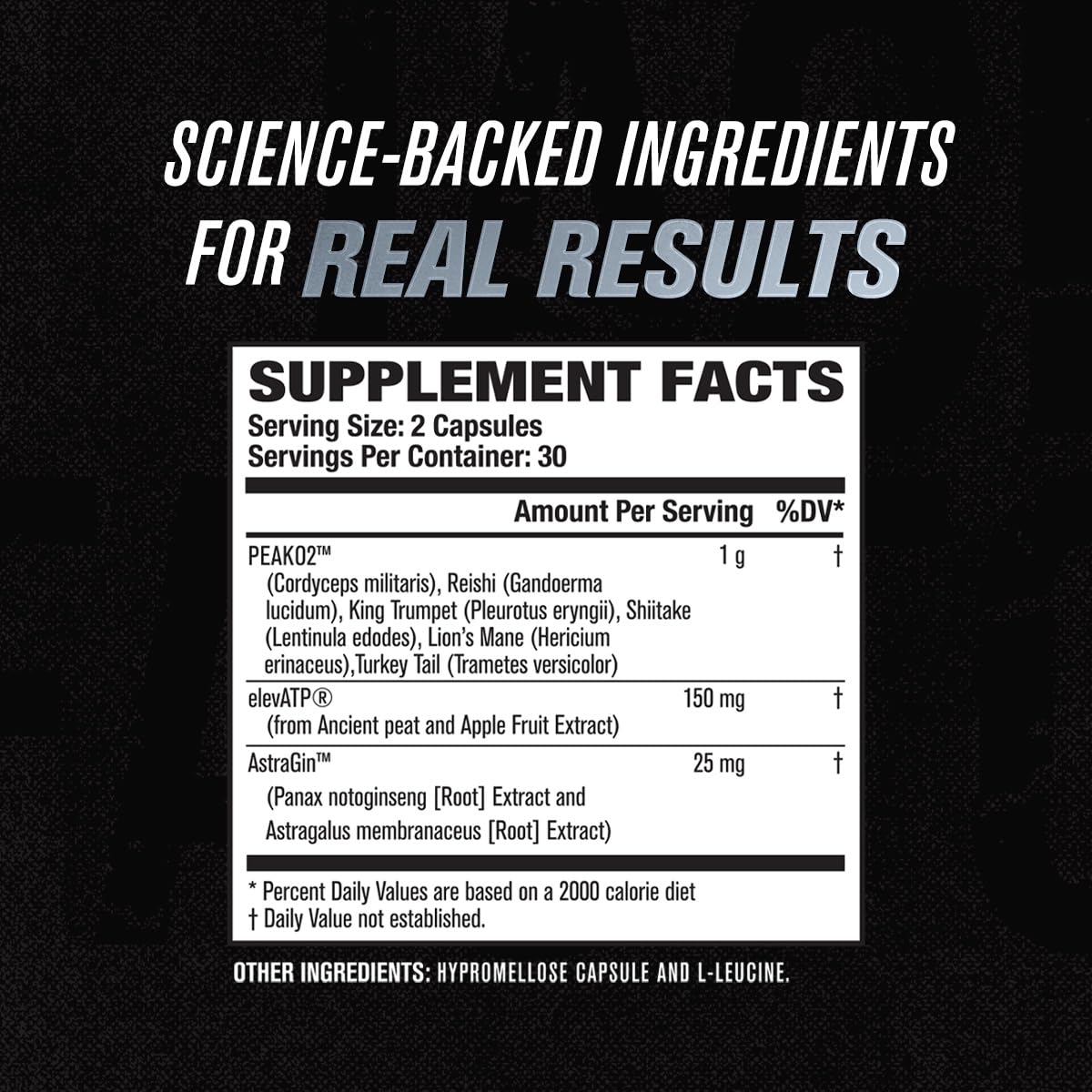 Jacked Factory Muscle Builder Supplement Stack - Build-XT Muscle Builder & N.O. XT Nitric Jacked Factory buy supplements canada