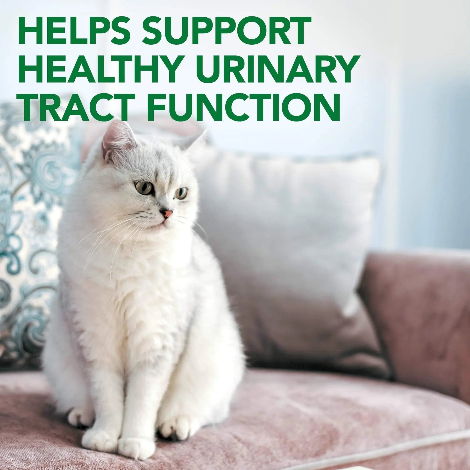 Vet's Best Cat Urinary Supplement, Urinary Tract Support Chewable for Cats, Supports A Healthy Urinary Tract in Cats, 60 Chewable Tablets Vet's Best buy supplements canada
