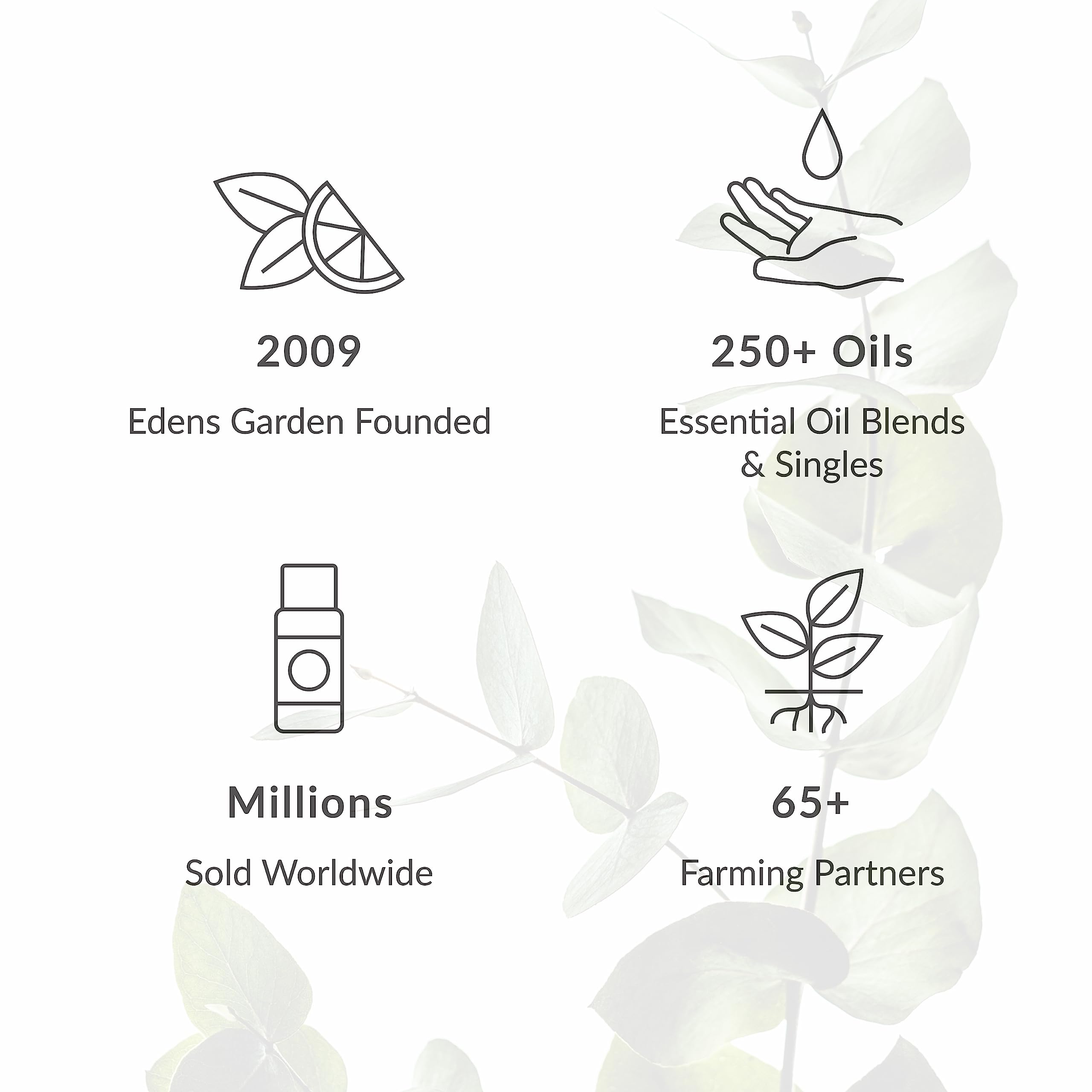 Edens Garden Digest Ease Essential Oil Synergy Blend, 100% Pure Therapeutic Grade Edens Garden buy supplements canada