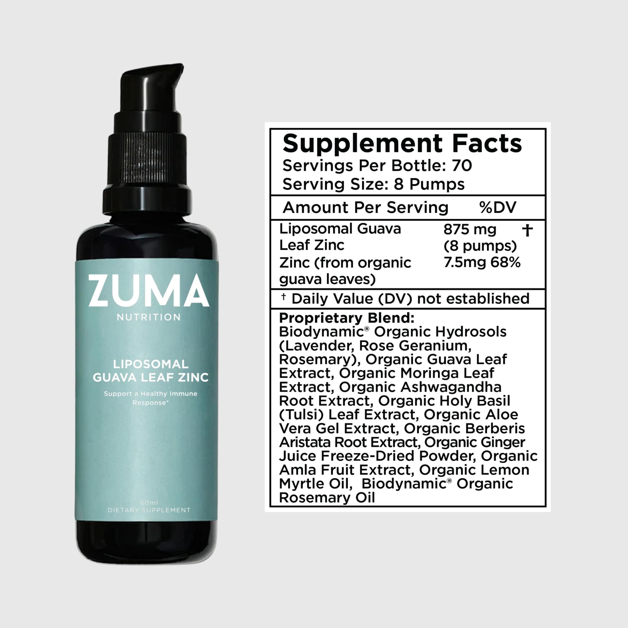 Zuma Nutrition Guava Leaf Zinc with Vitamin C, Vegan & Natural Herbal Supplement for Skin Health, Longevity and Daily Wellness Support for Men and Women, Skin Care Routine, 60 ML Bottle Zuma Nutrition buy supplements canada