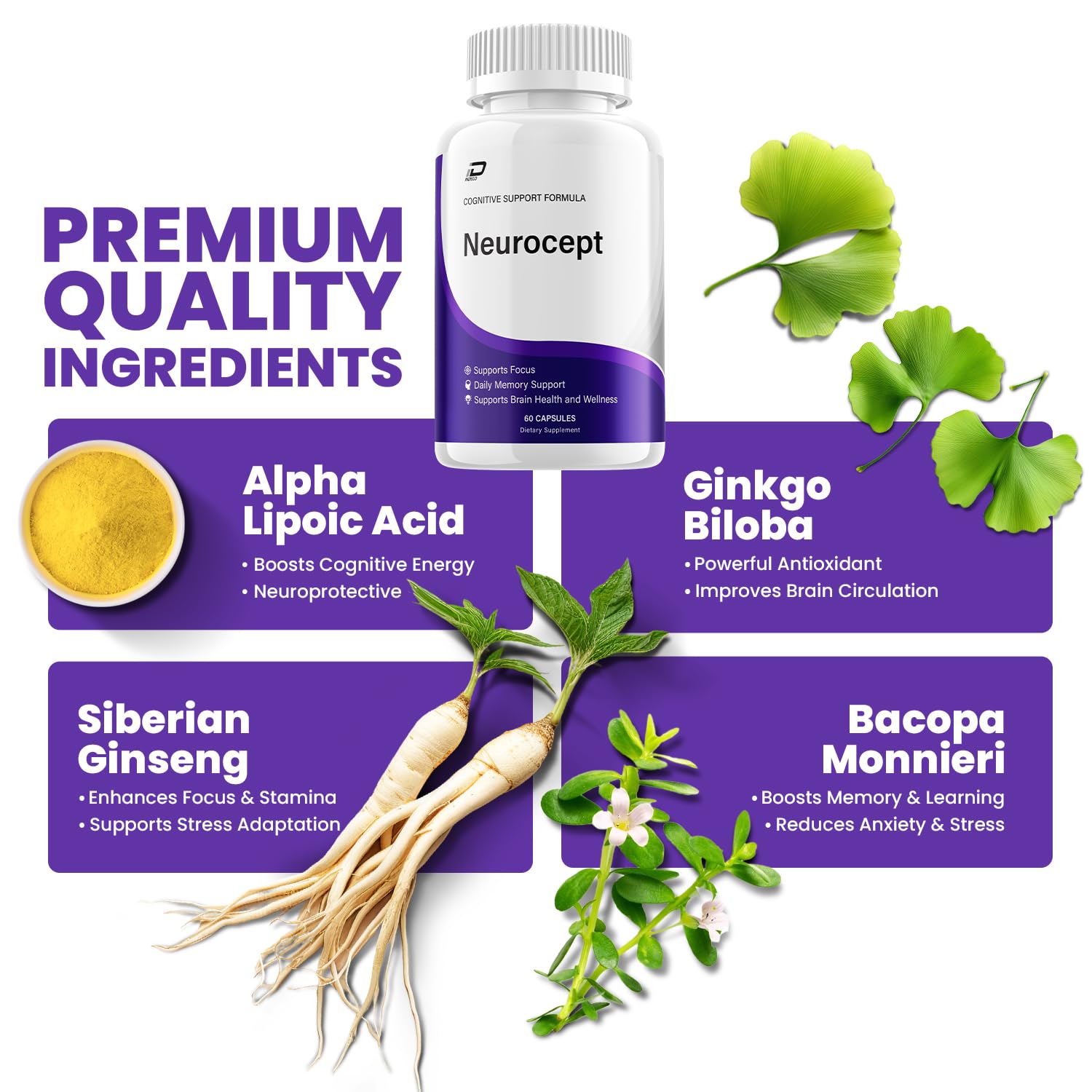 Neurocept Supplement Capsules – All Natural Maximum Strength Formula, Focus & Memory Support (60 Capsules) Indelo buy supplements canada