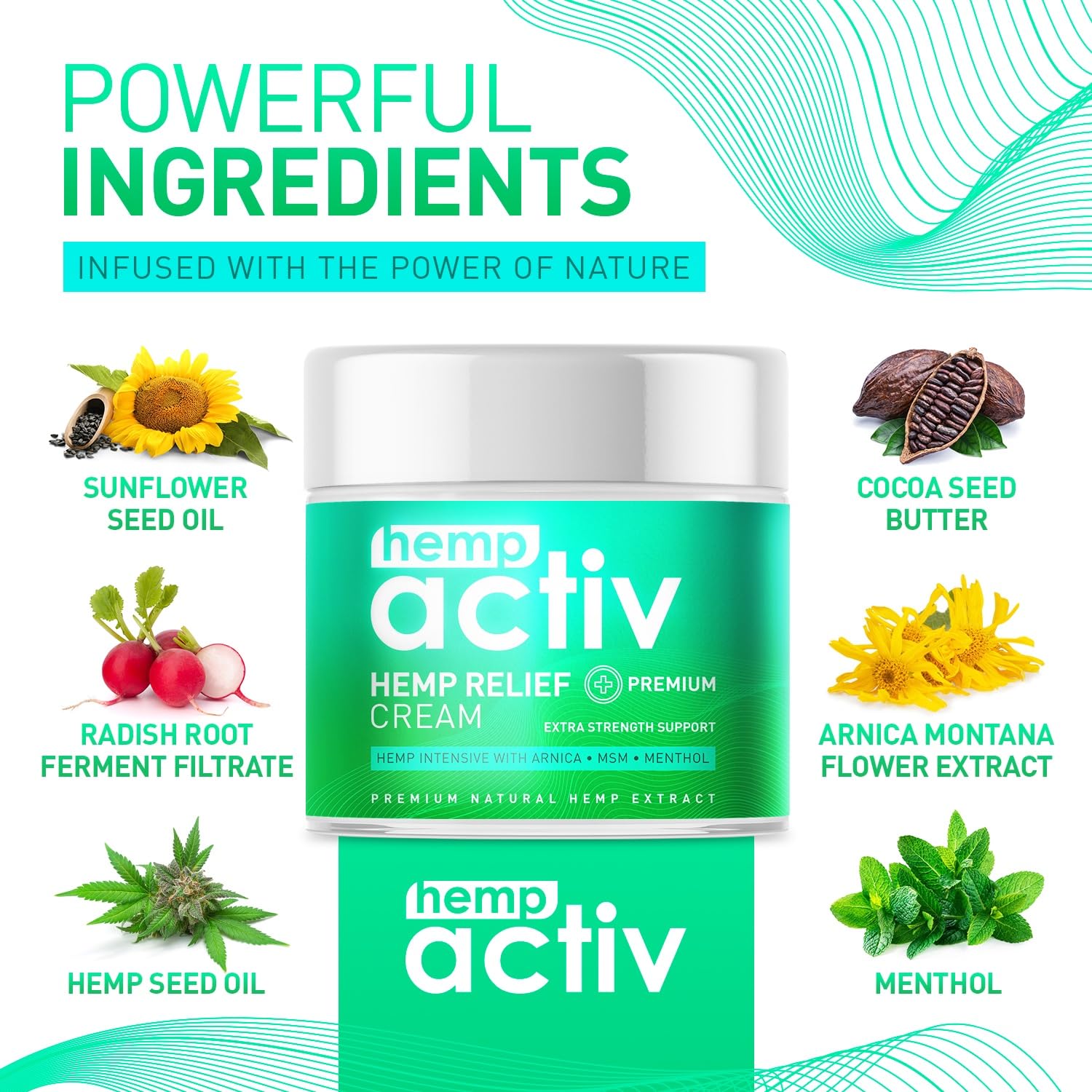 HEMPACTIV Cooling Hemp Cream – Menthol, MSM & Arnica – Fast-Absorbing, Non-Greasy Formula for Muscles & Joints – 4oz Best-Value Size HEMPACTIV buy supplements canada