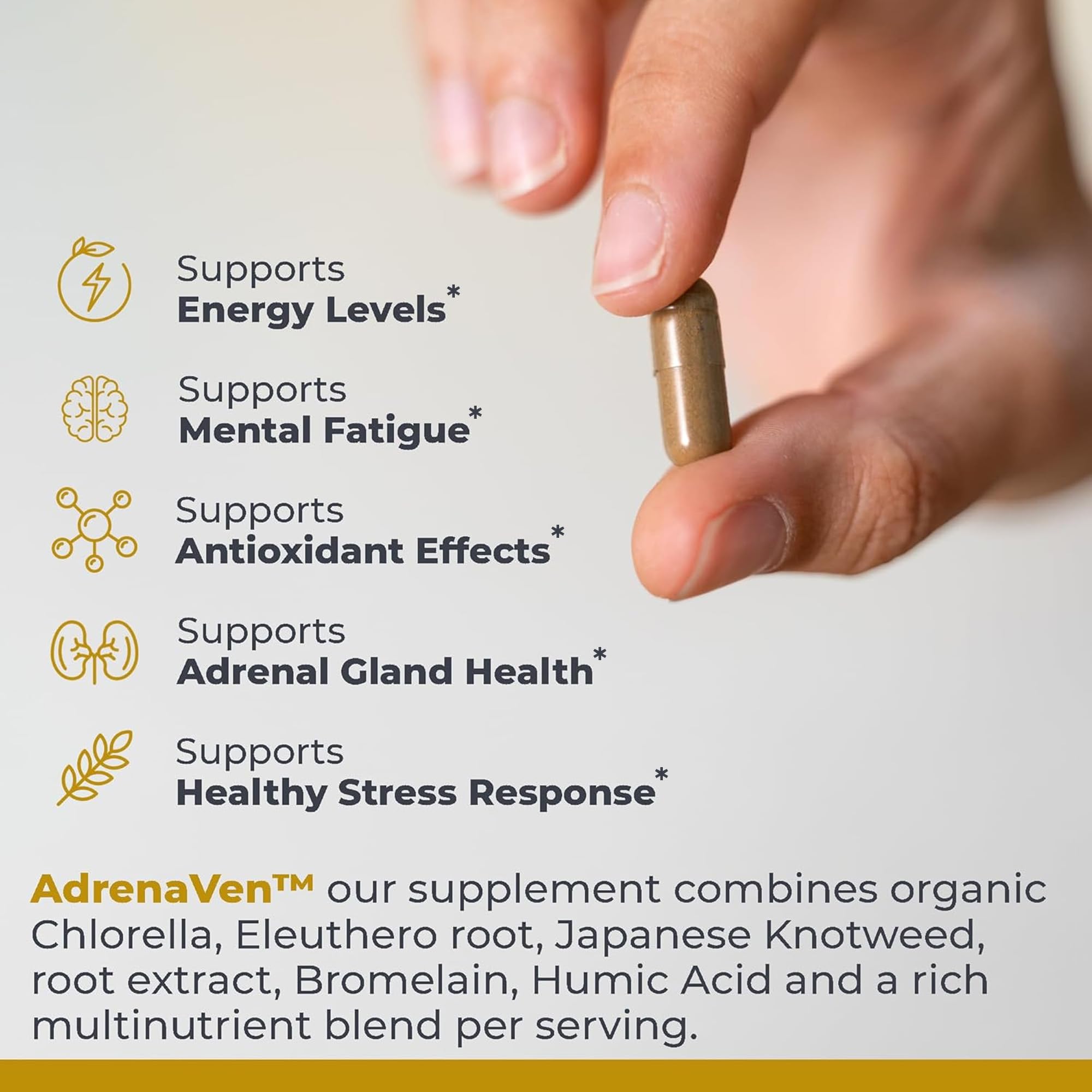 Premier Research Labs 30 Servings-AdrenaVen - Adrenal Health Supplement, Supports Adrenal Gland Health and Stress Response - Organic Adrenal Health - 60 Plant-Source Capsules Premier Research Labs buy supplements canada