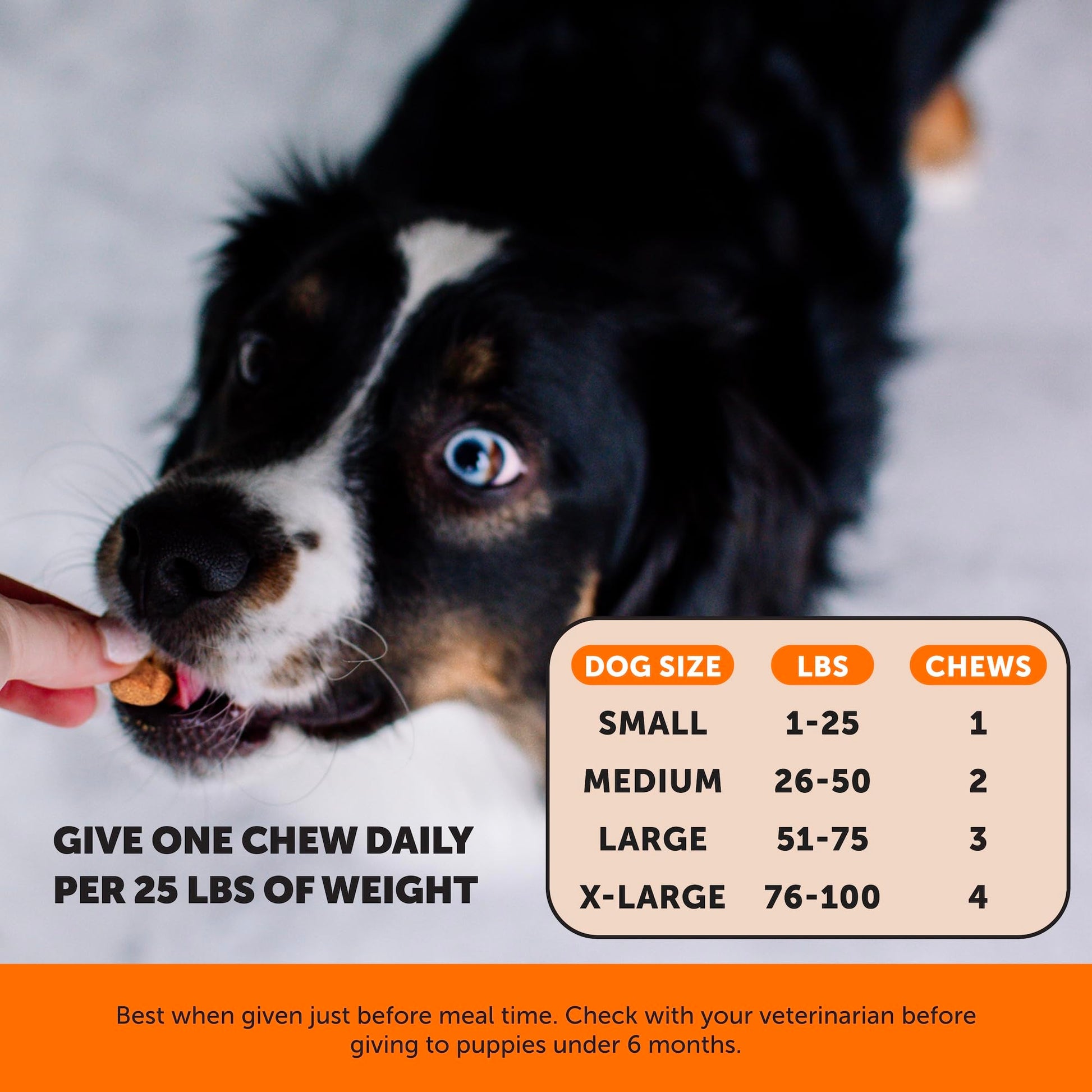 Hemp Hip & Joint Supplement for Dogs - Hemp Oil & Powder - Glucosamine Chondroitin for Dogs, Turmeric, MSM, Green-Lipped Mussel, Supports Mobility, May Reduce Discomfort (Bacon) Pet Honesty buy supplements canada