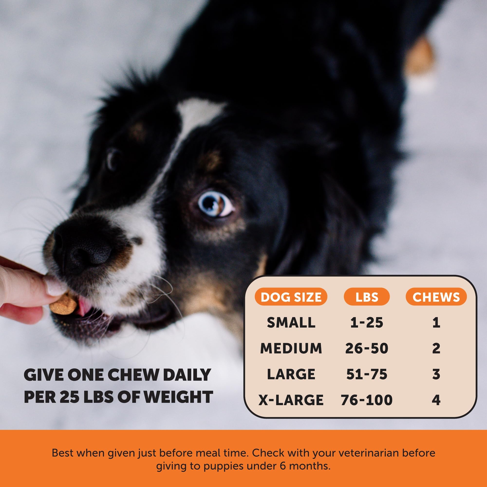 Hemp Hip & Joint Supplement for Dogs - Hemp Oil & Powder - Glucosamine Chondroitin for Dogs, Turmeric, MSM, Green-Lipped Mussel, Supports Mobility, May Reduce Discomfort (Bacon) Pet Honesty buy supplements canada