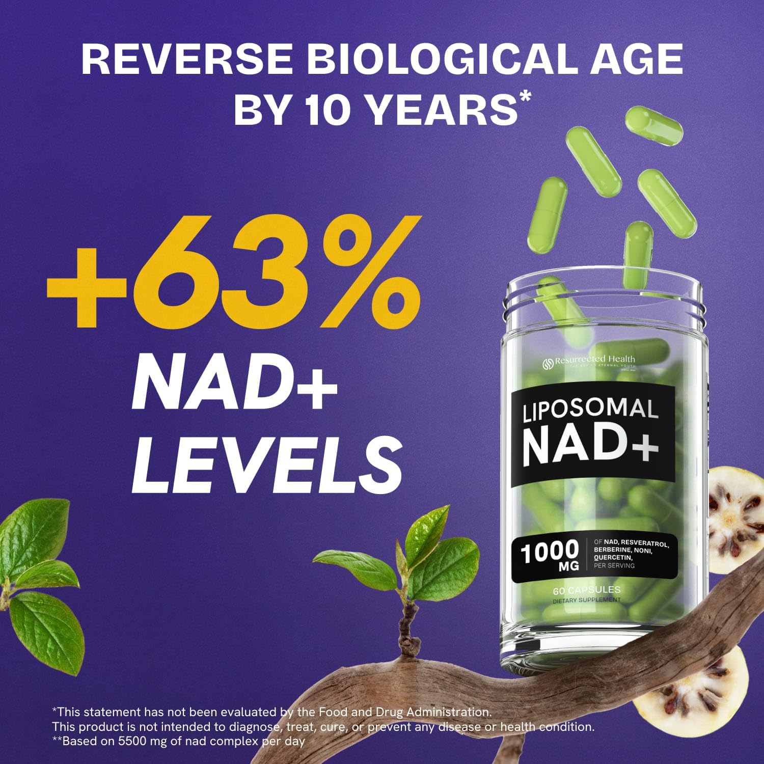 Liposomal NAD Supplement for Women w/Noni | 5-in-1 NAD Resveratrol Supplement w/Berberine & Quercetin | Pure NMN Powder Alternative | Supports Anti Aging & NAD+ Levels | 60 caps - 1 Pack Resurrected Health buy supplements canada