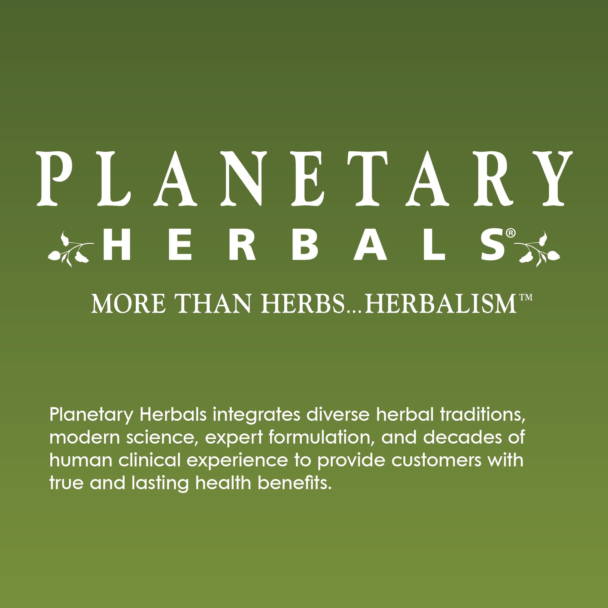 Planetary Herbals PAU D'Arco Deep Cleansing, Herbal Supplement, 735 mg - 72 Tablets Planetary Herbals buy supplements canada