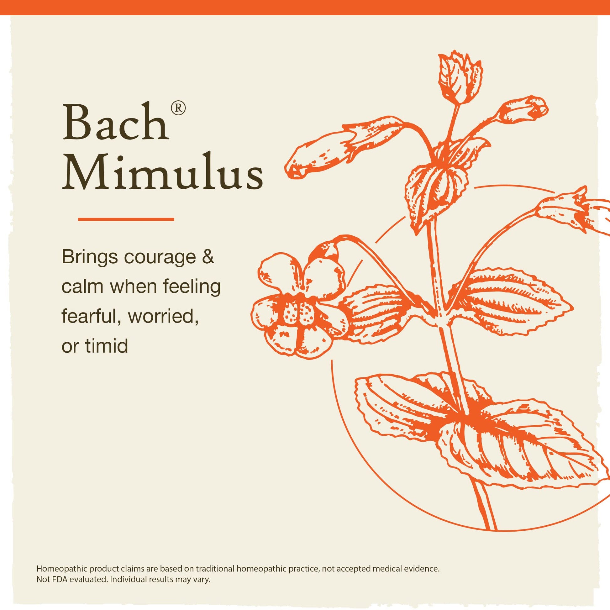 Bach Original Flower Remedies, Mimulus for Facing Fears (Non-Alcohol Formula), Natural Homeopathic Bach buy supplements canada