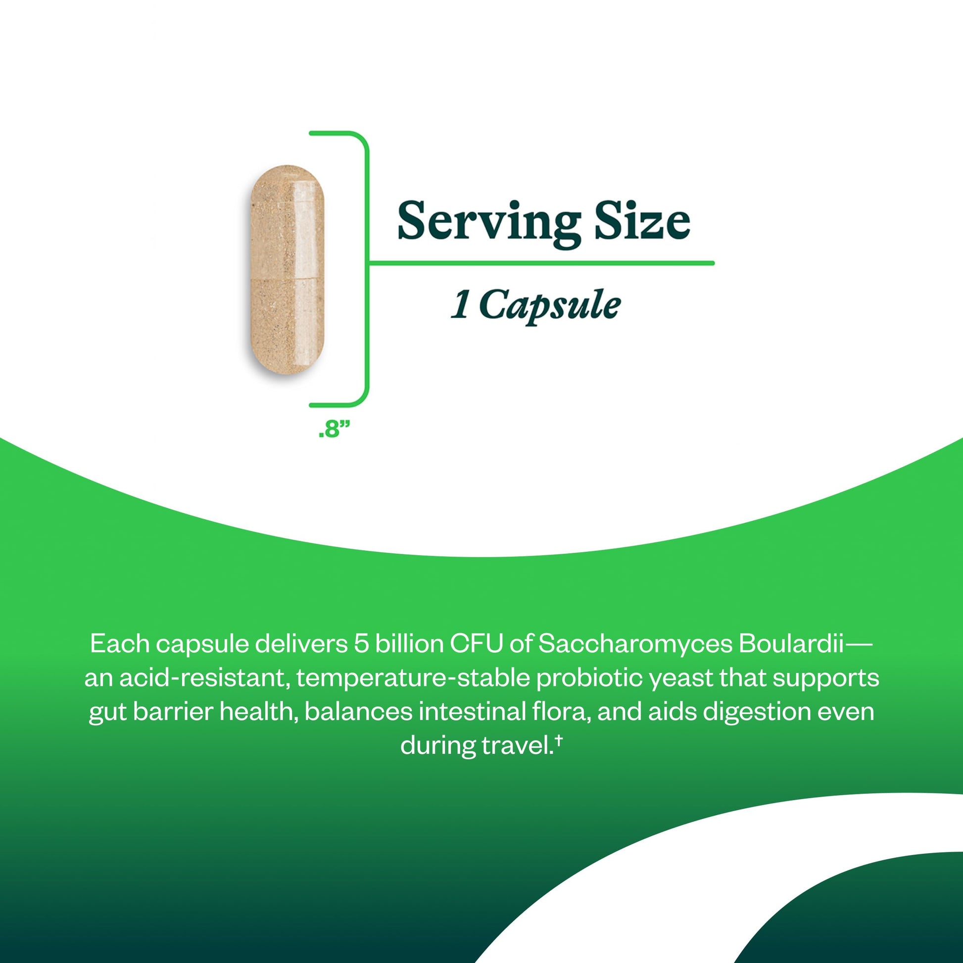 Seeking Health Saccharomyces Boulardii - Gentle Digestive Support for Healthy Bowel Movements* - Supports a Good GI Tract Environment & Microbiome While Traveling* Seeking Health buy supplements canada