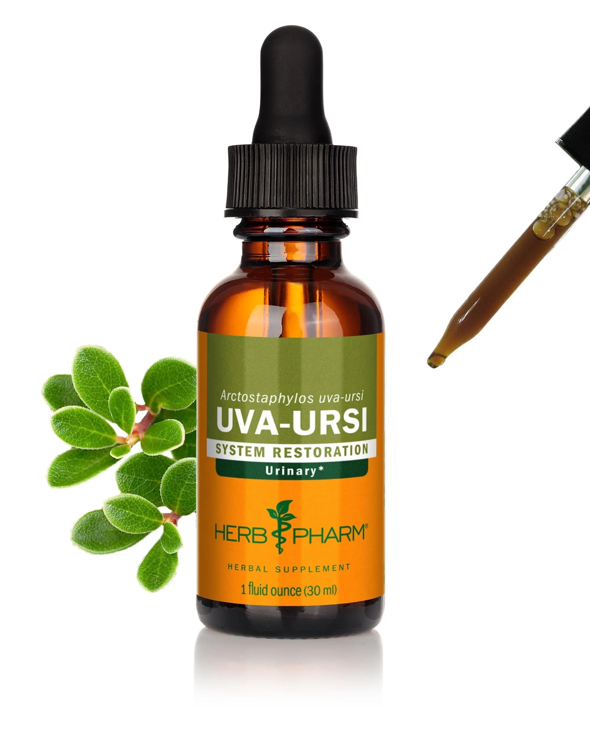Herb Pharm Uva Ursi Liquid ExtraCount for Urinary System Support, 1 Fl Oz Herb Pharm buy supplements canada