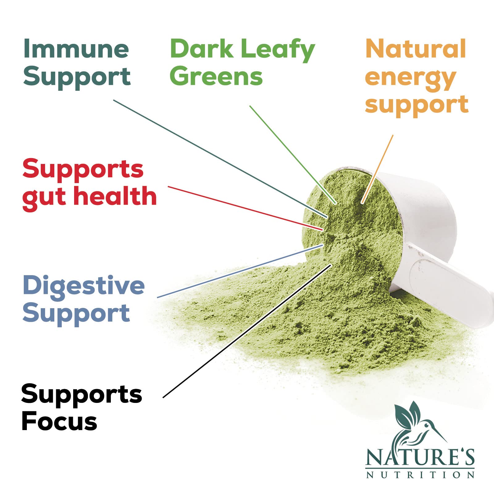 Greens Superfood Powder Supplement - Super Green Smoothie Mix Blend with Spirulina Nature's Nutrition buy supplements canada