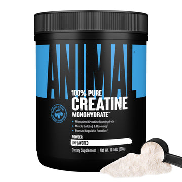 Animal Creatine Monohydrate Powder – Micronized Creatine for Women and Men, Supports Muscle Growth, Strength, Endurance, Recovery and ATP Production, Gym & Workout Supplements - Unflavored, 300g Animal buy supplements canada