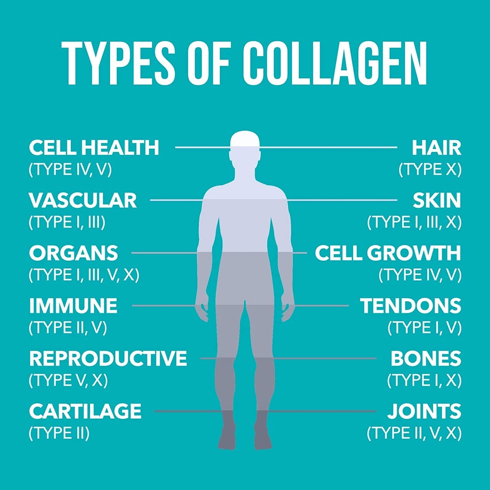 NaturesPlus Collagen Peptides Powder - Premium Hydrolysed Collagen Supplement, 6 Major Types Nature's Plus buy supplements canada