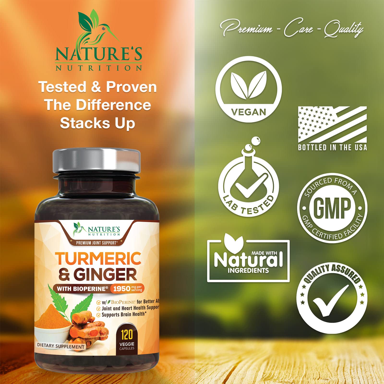 Turmeric Curcumin with BioPerine & Ginger 95% Standardized Curcuminoids Nature's Nutrition buy supplements canada