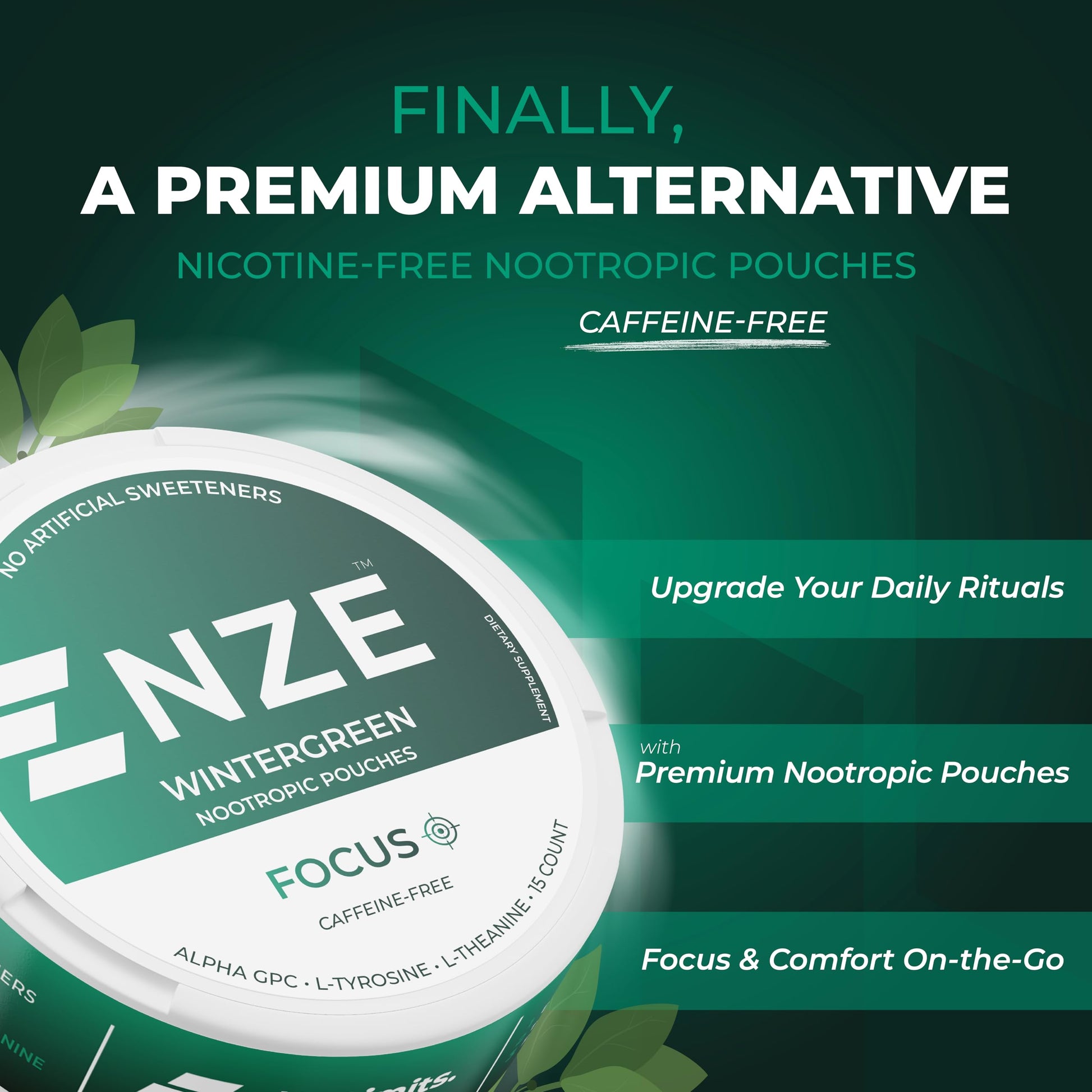 NZE Caffeine Free Nootropic Pouches (Wintergreen) - Nootropic Pouches with Alpha GPC, L-Tyrosine & L-Theanine - No Sugar or Artificial Sweeteners - 15 Pouches Per Can - 5 Pack NZE buy supplements canada