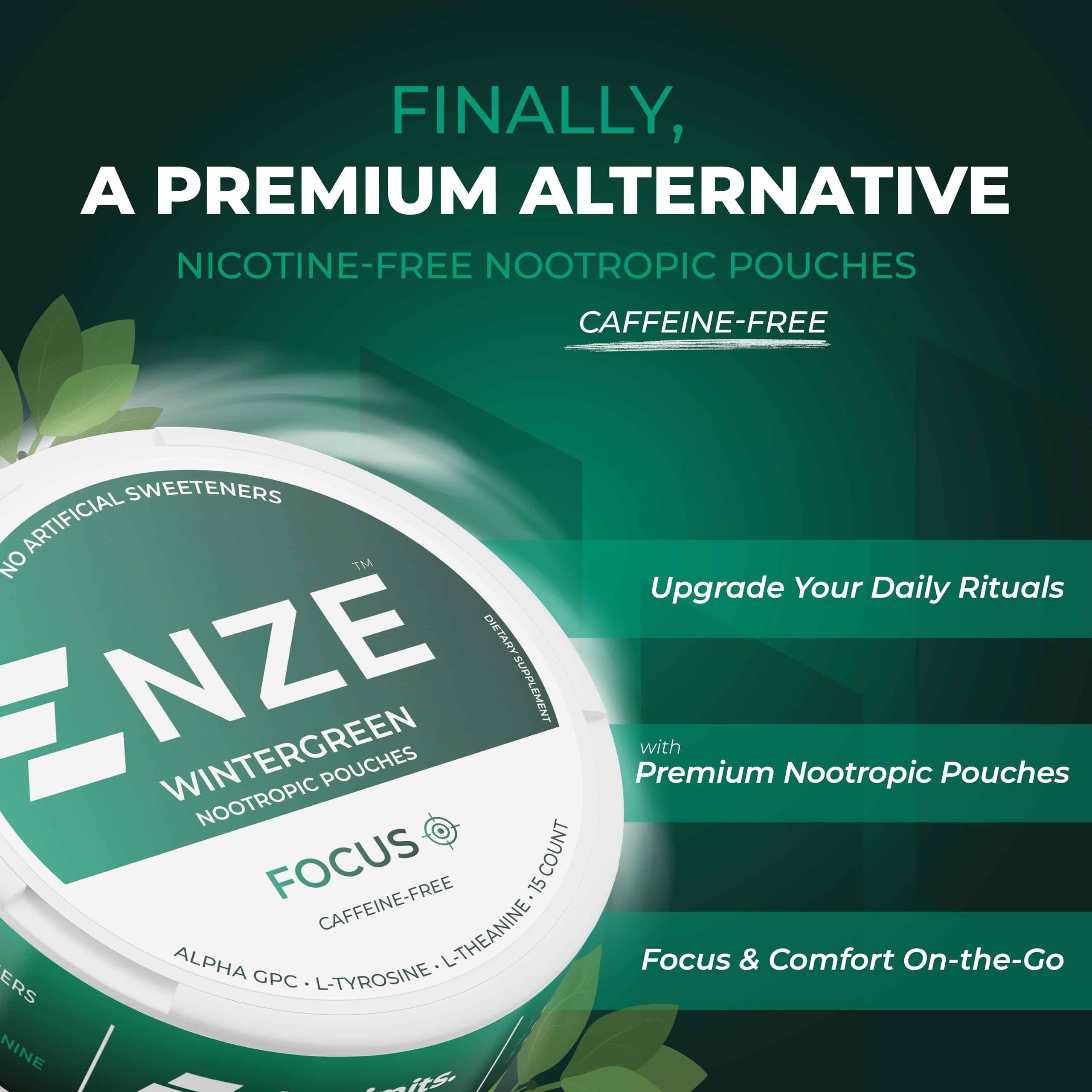 NZE Caffeine Free Nootropic Pouches (Wintergreen) - Nootropic Pouches with Alpha GPC, L-Tyrosine & L-Theanine - No Sugar or Artificial Sweeteners - 15 Pouches Per Can - 5 Pack NZE buy supplements canada
