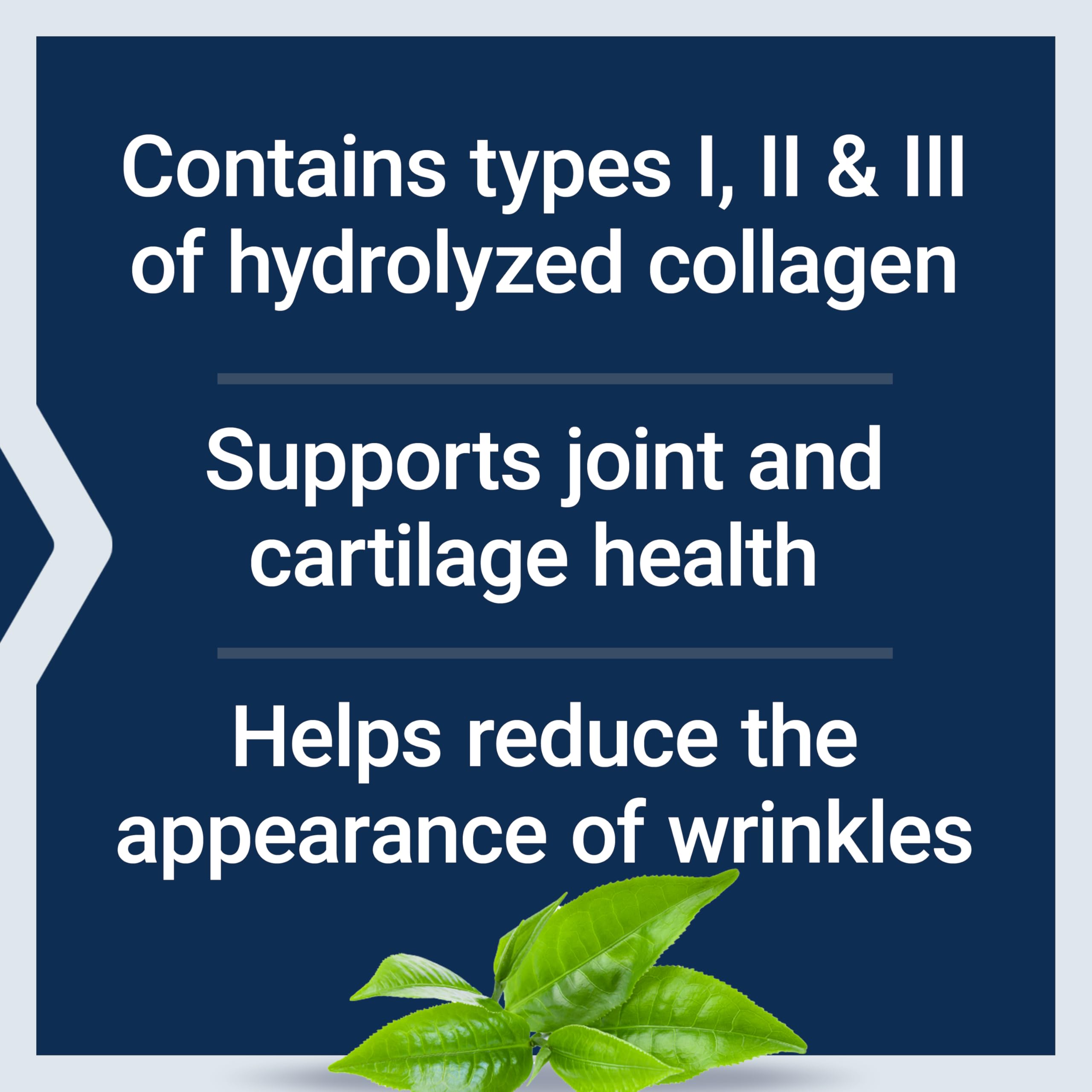 Life Extension Collagen Peptides for Skin & Joints, Collagen Types I, II & III in an Easy-Mix Powder, Gluten Free, Non-GMO, net Weight 343 Grams Life Extension buy supplements canada