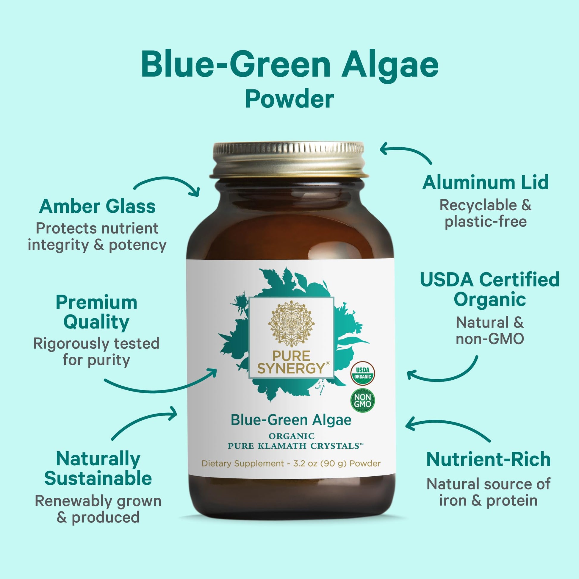 PURE SYNERGY Blue-Green Algae Powder | Superfood Powder with Chlorophyll | Organic AFA Blue Green Algae Supplement | Supports Energy, Mental Clarity, and Detoxification (3.2 oz.) PURE SYNERGY buy supplements canada
